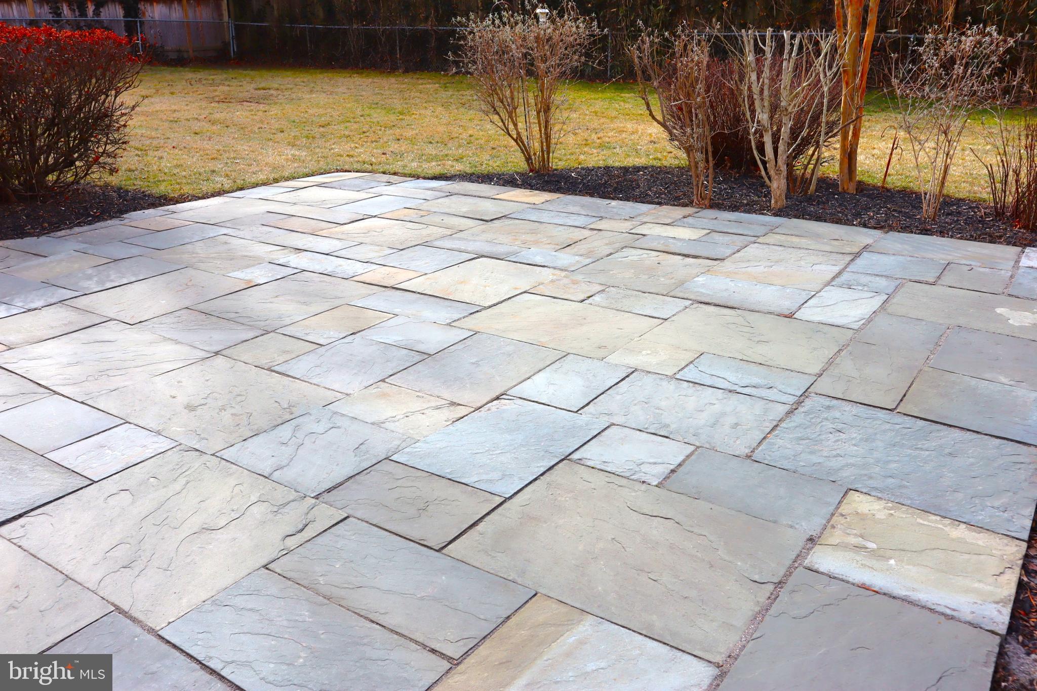 CHEVY CHASE VIEW - Residential