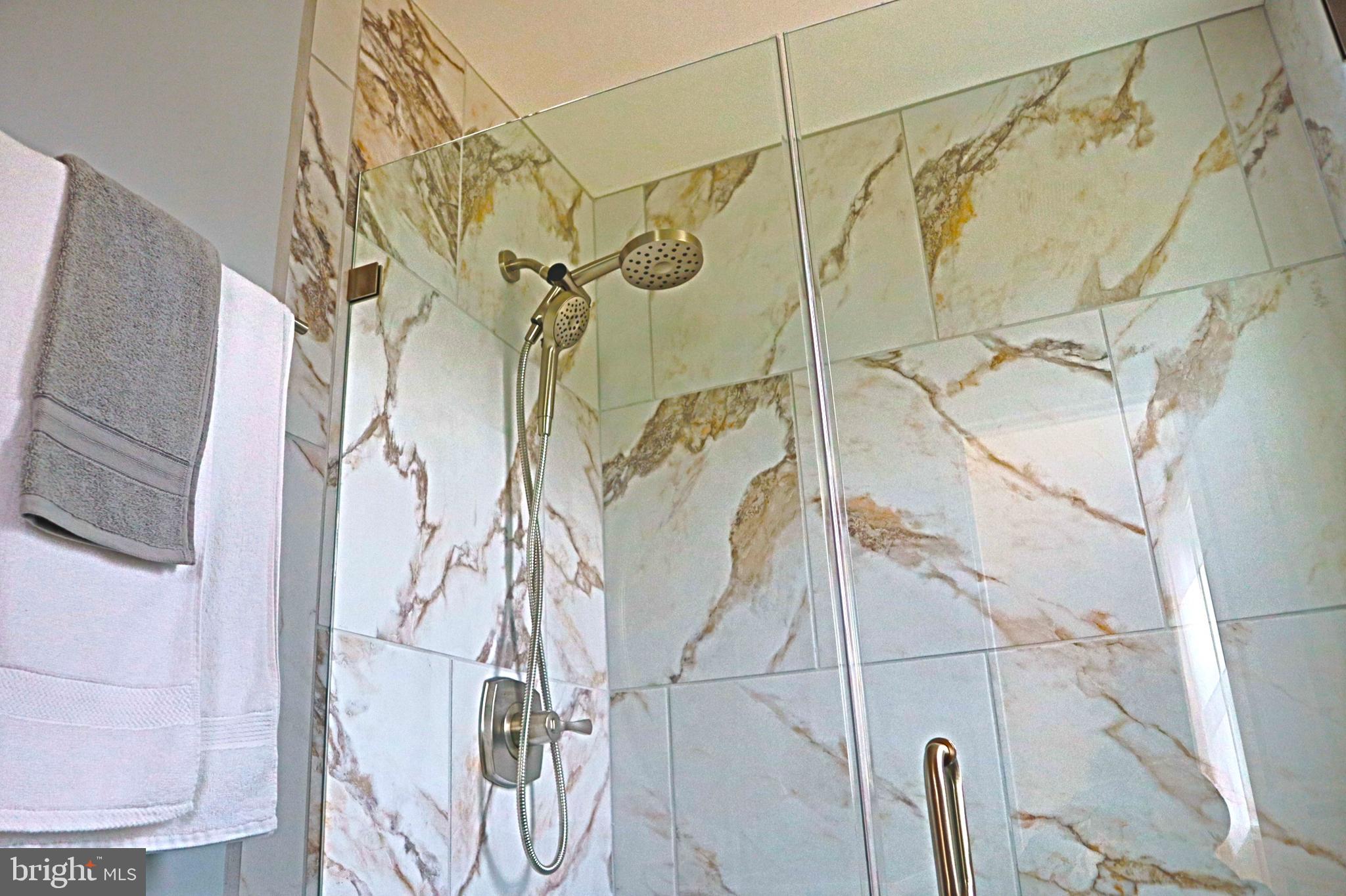 CHEVY CHASE VIEW - Residential