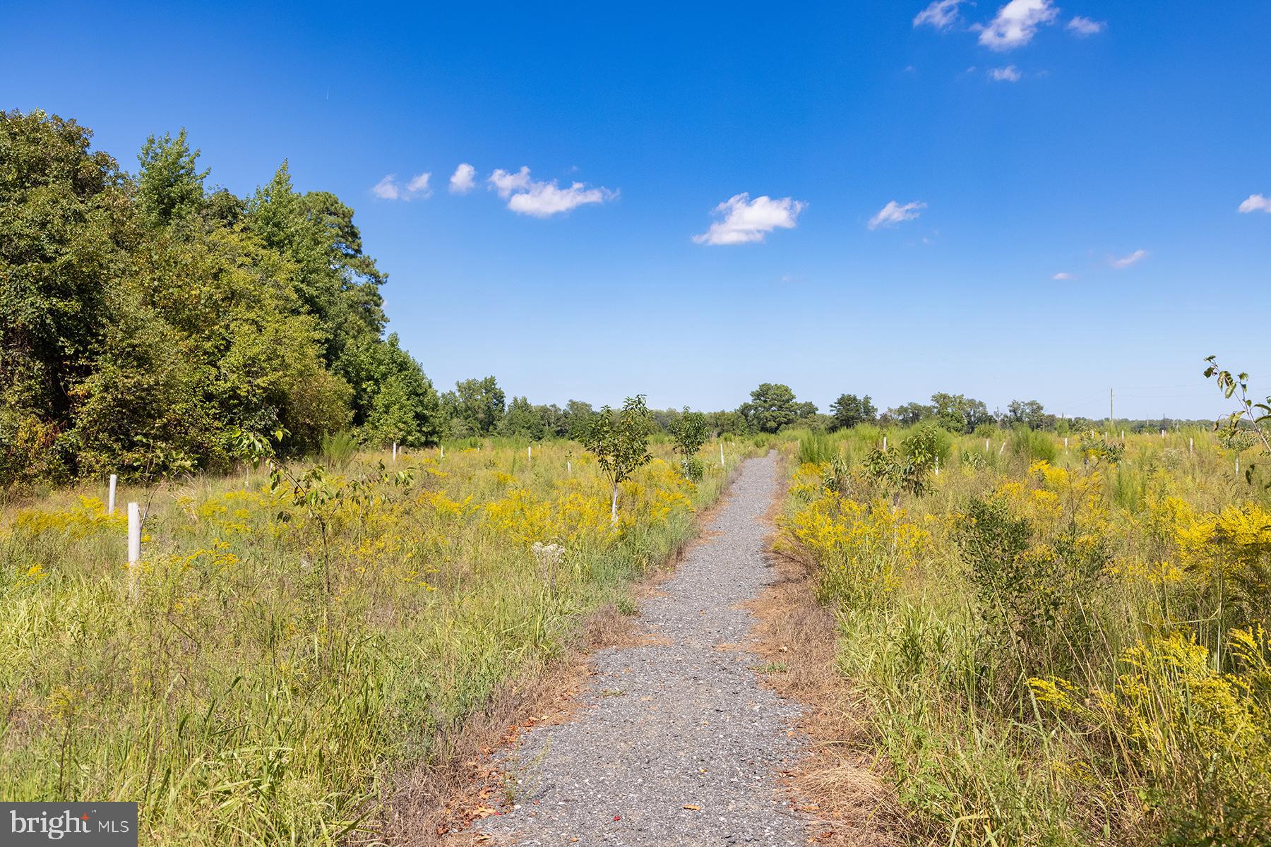 THE VINES OF SANDHILL - Residential
