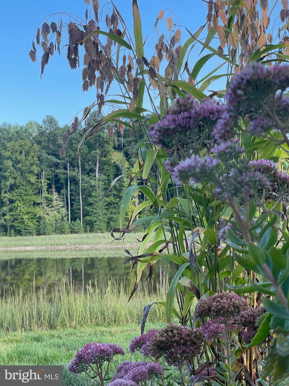 THE VINES OF SANDHILL - Residential
