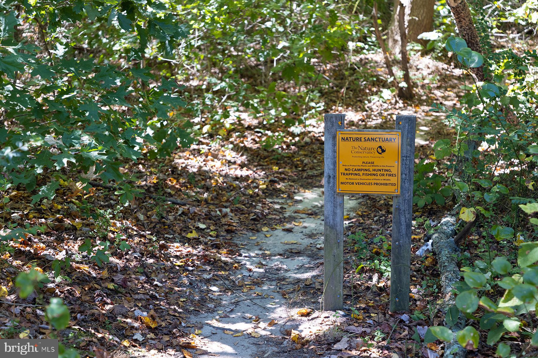 THE VINES OF SANDHILL - Residential