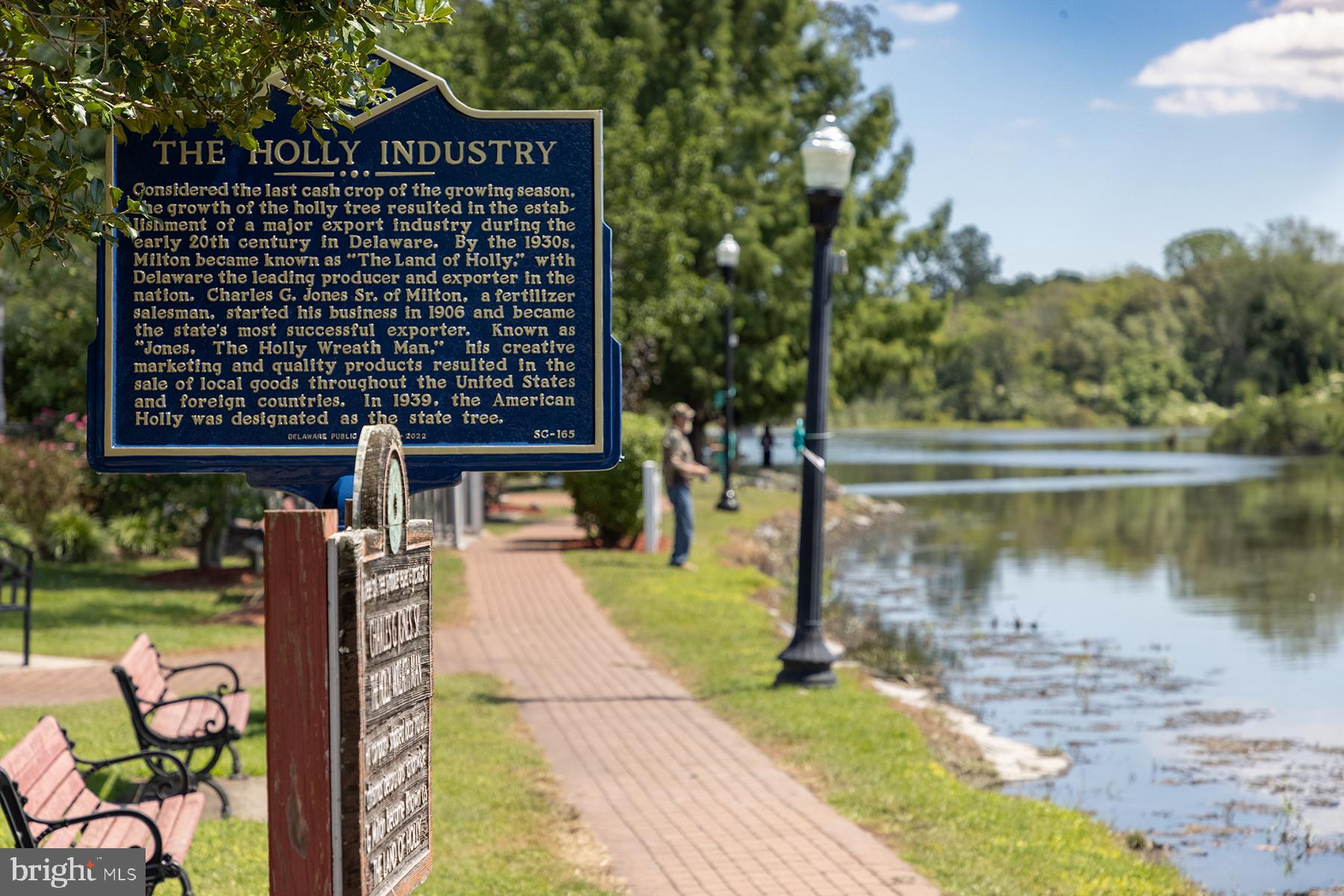 THE VINES OF SANDHILL - Residential