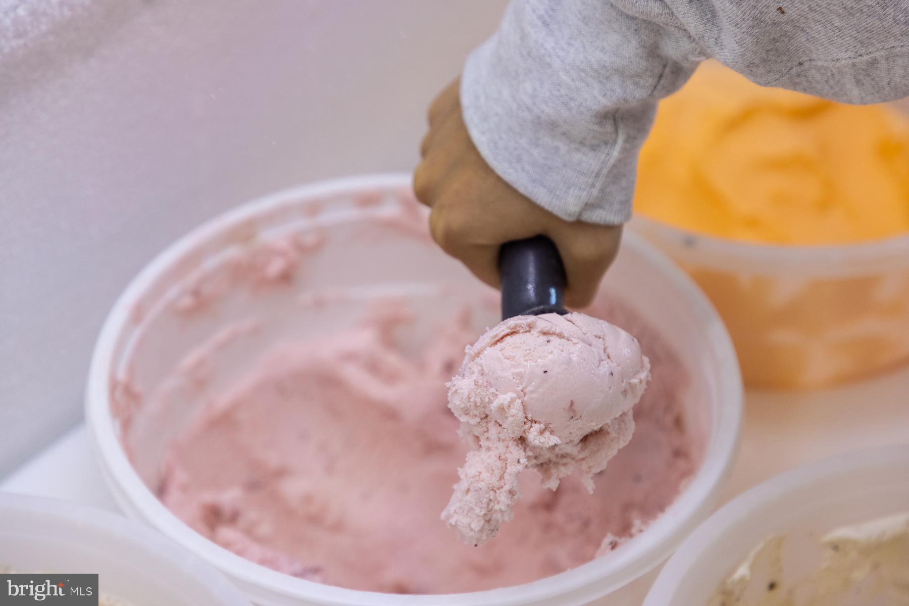 THE VINES OF SANDHILL - Residential