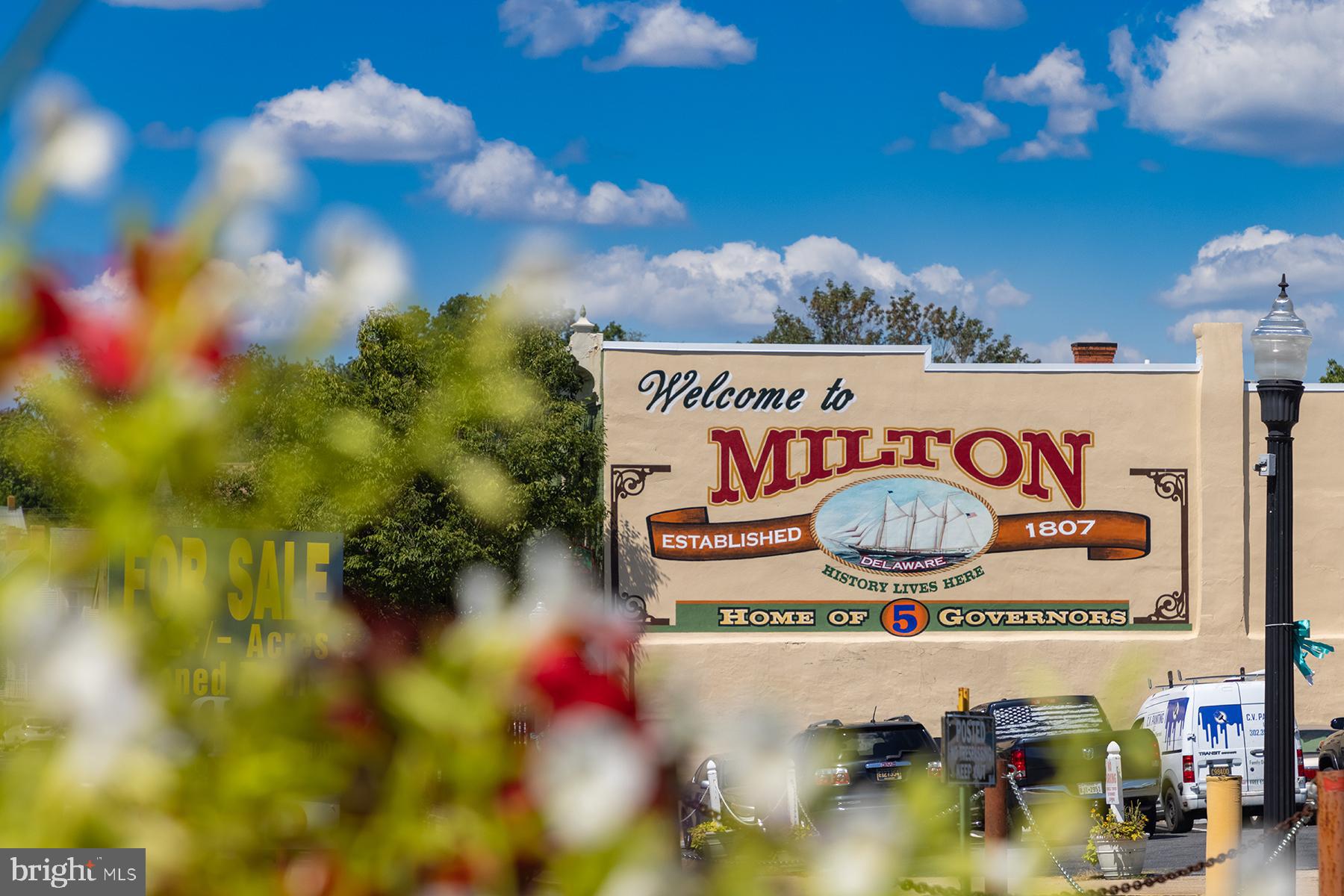 THE VINES OF SANDHILL - Residential