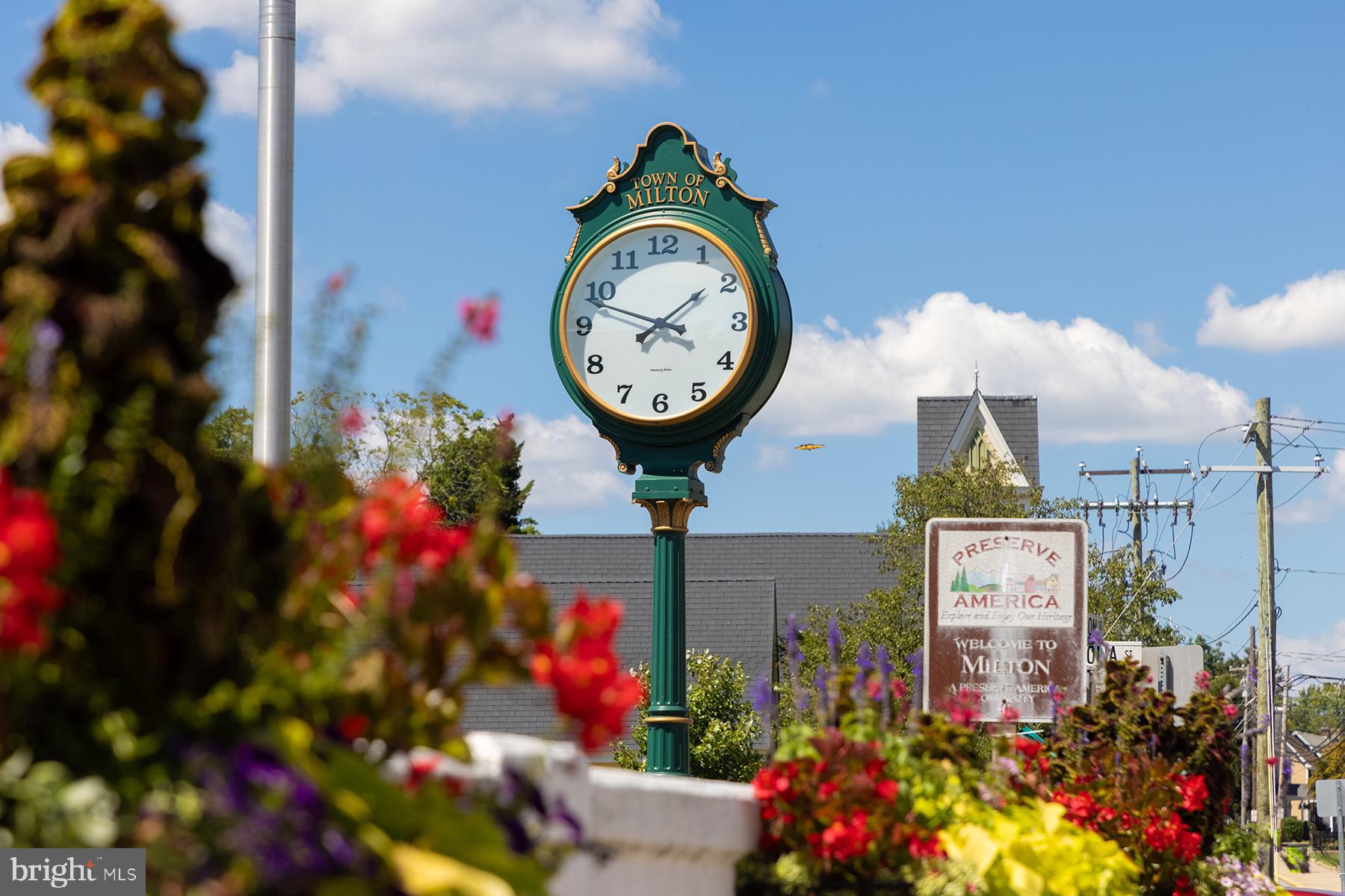 THE VINES OF SANDHILL - Residential