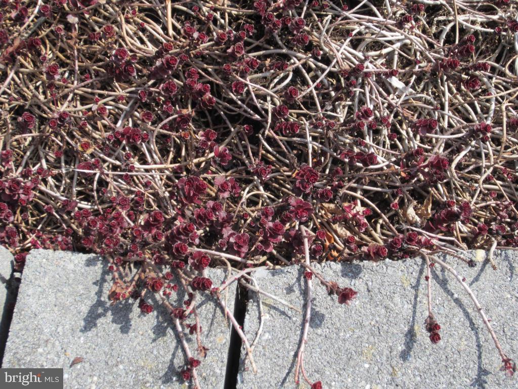 BELAIR NORTH - Residential