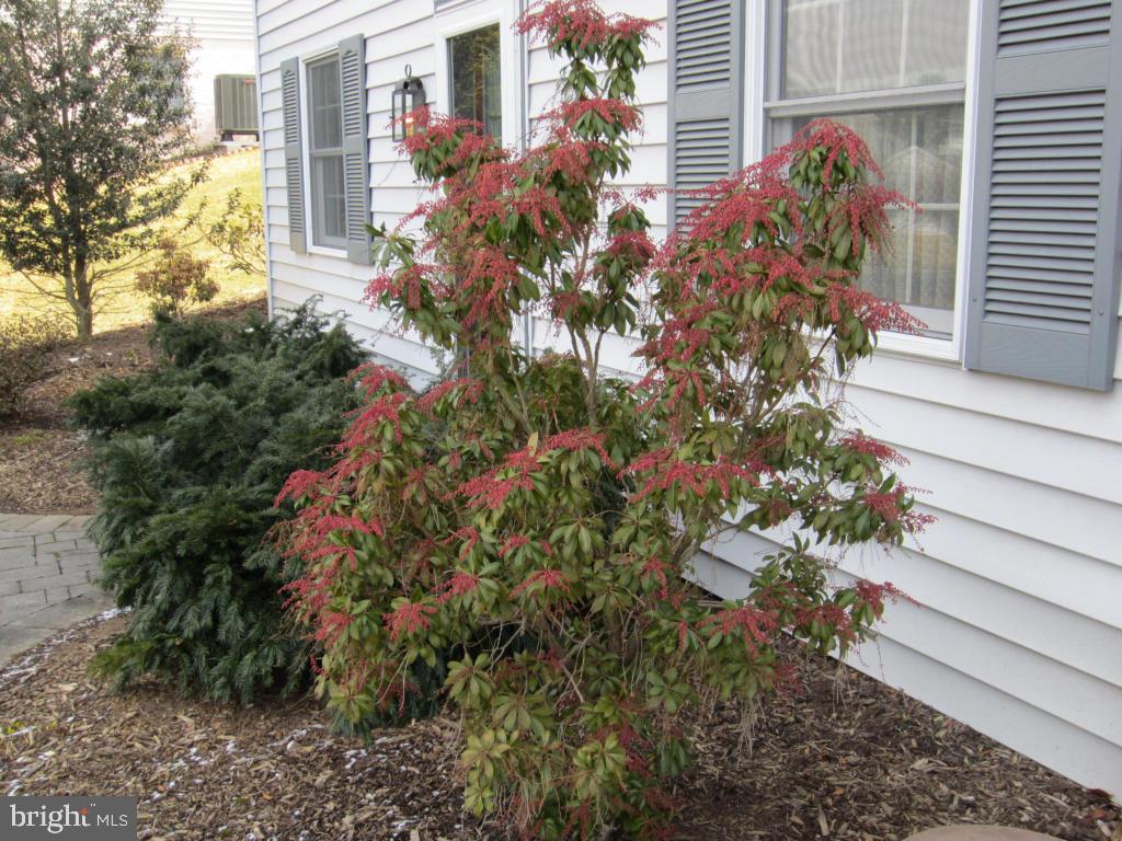 BELAIR NORTH - Residential