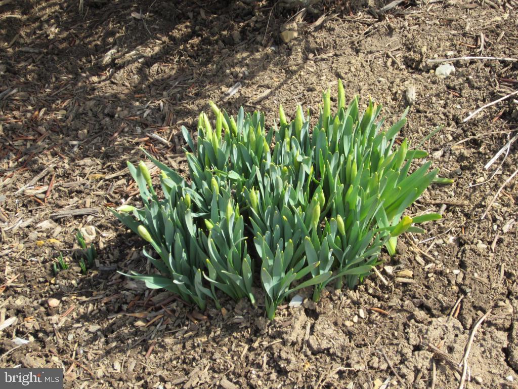 BELAIR NORTH - Residential