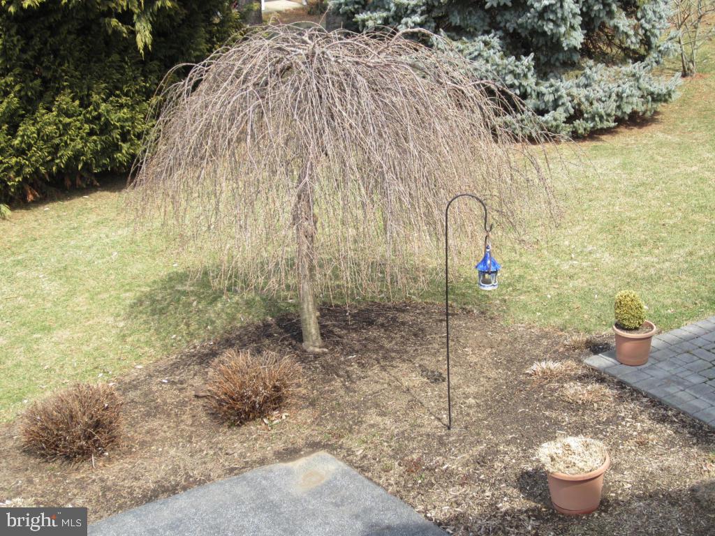 BELAIR NORTH - Residential