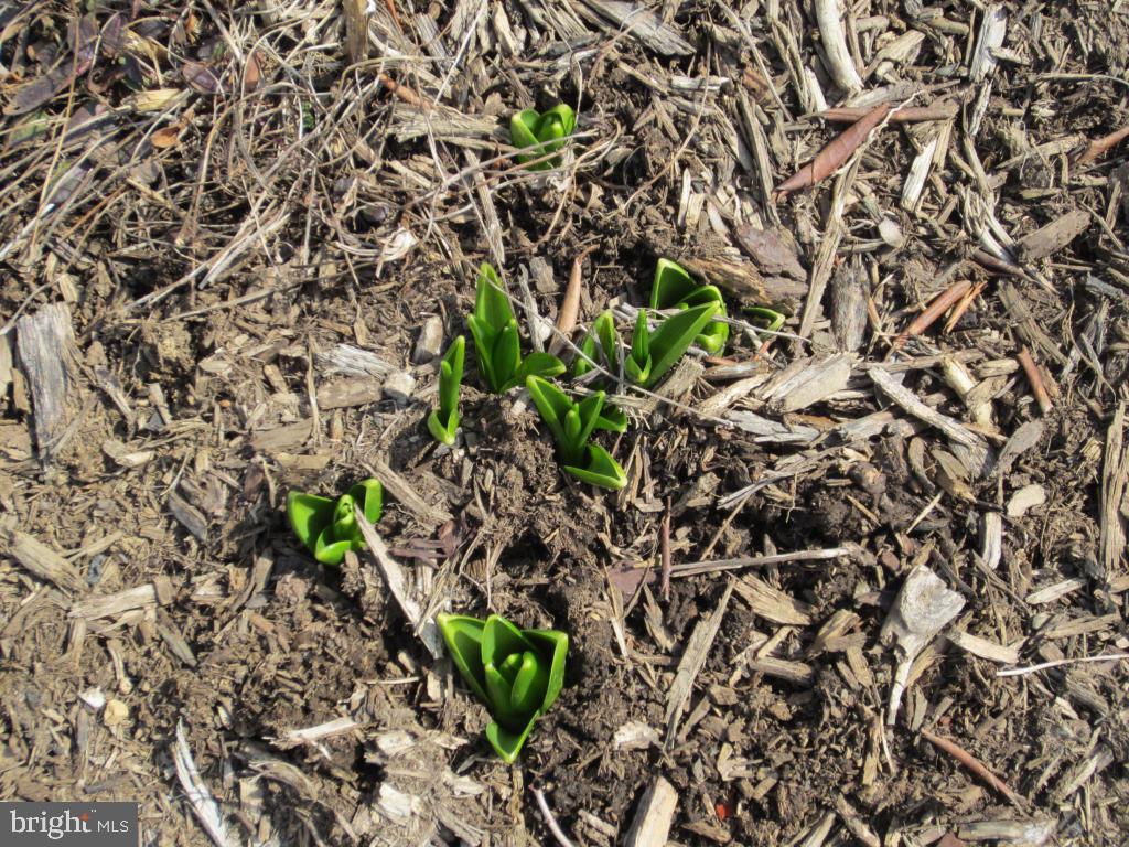 BELAIR NORTH - Residential