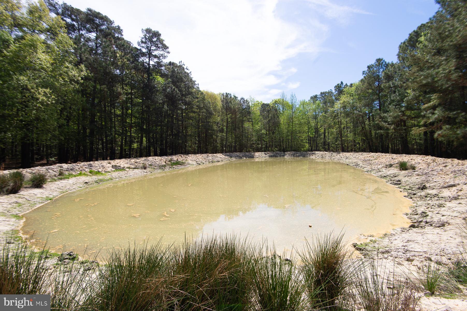 ROSS NECK - Residential