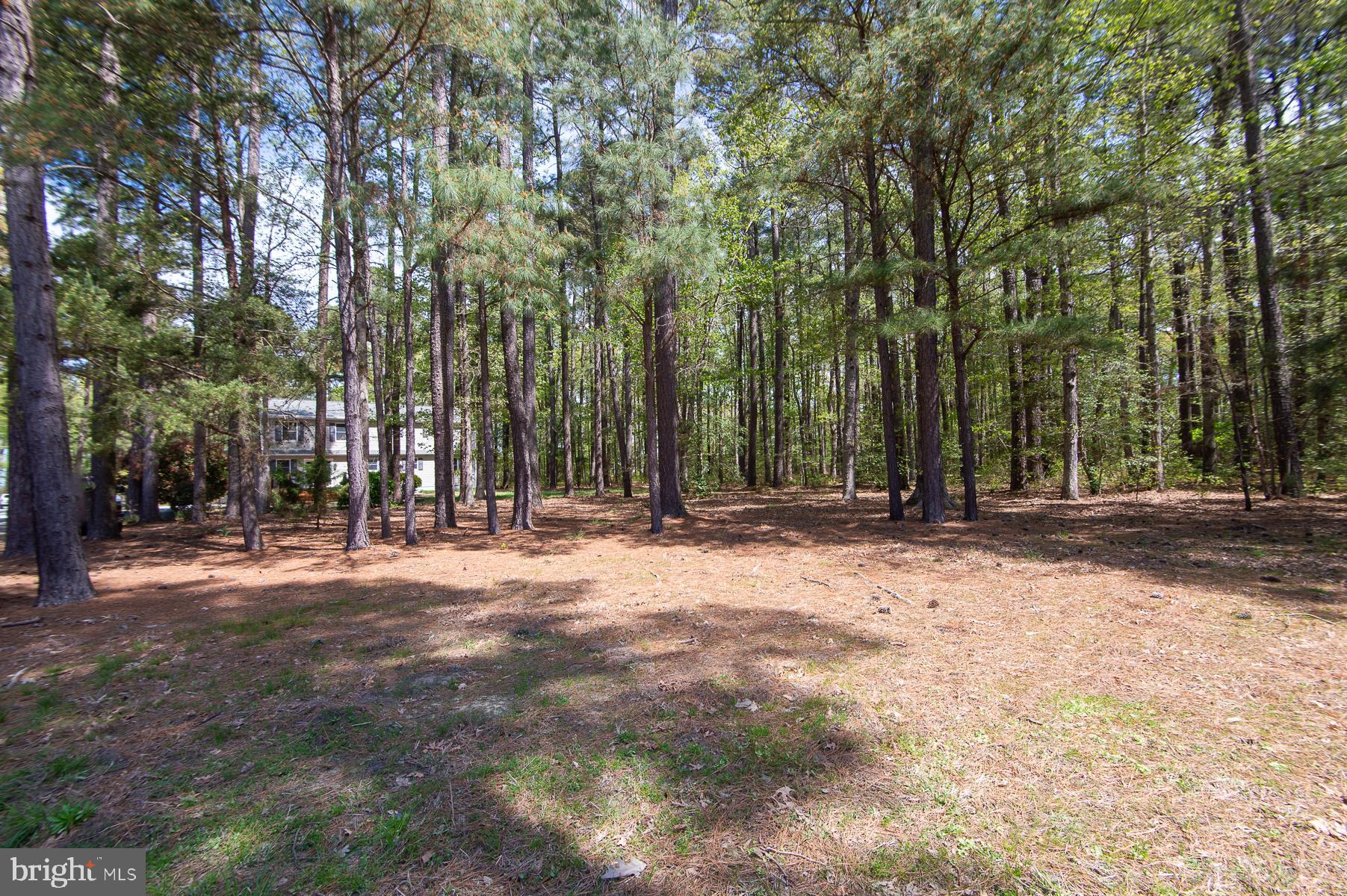 ROSS NECK - Residential