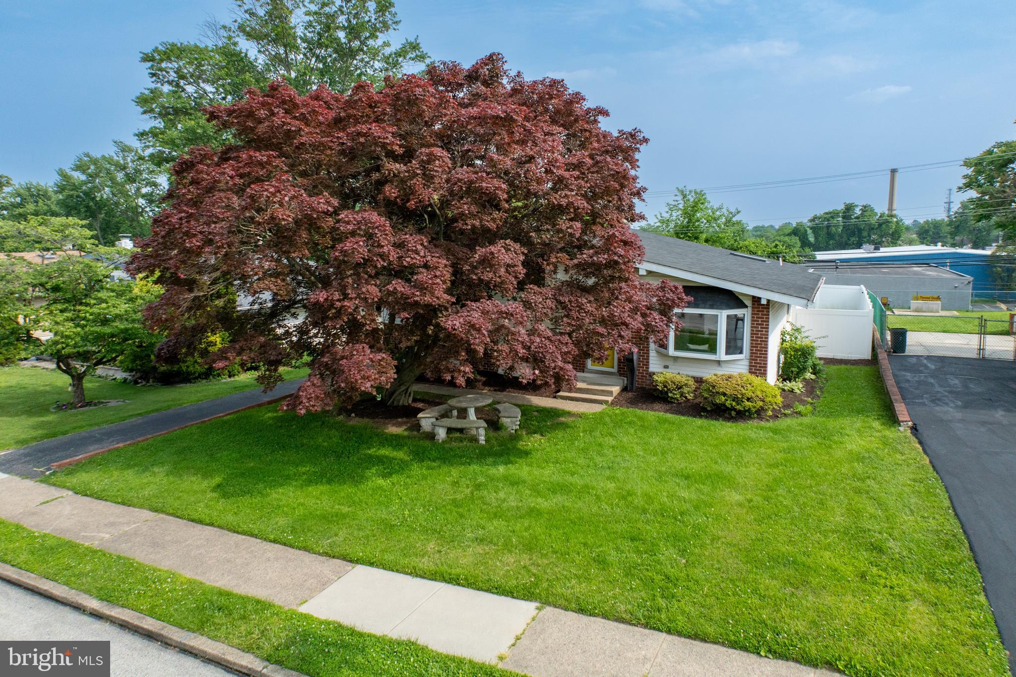 LAWRENCE PARK - Residential