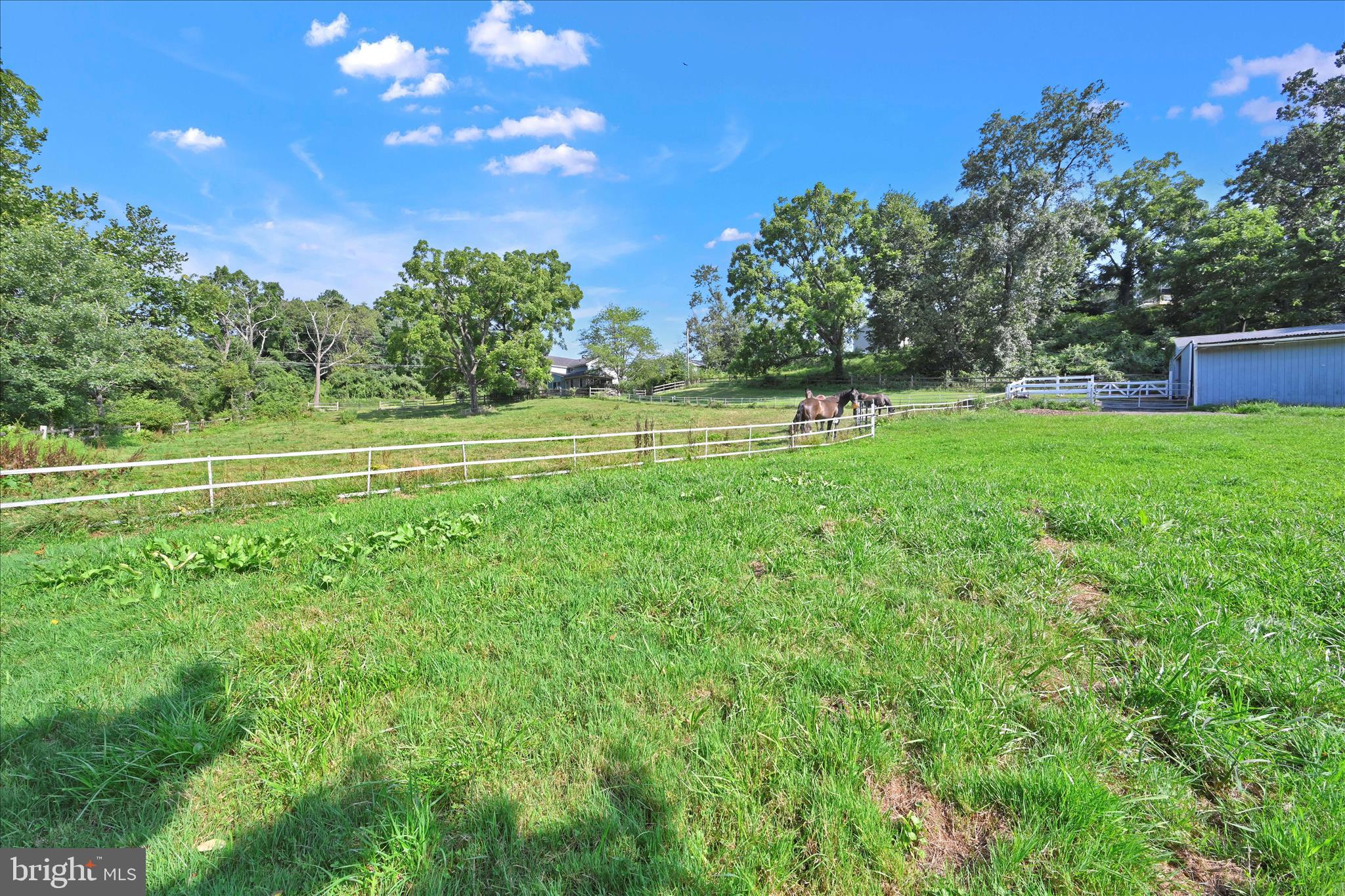 MONOCACY WOODS - Residential