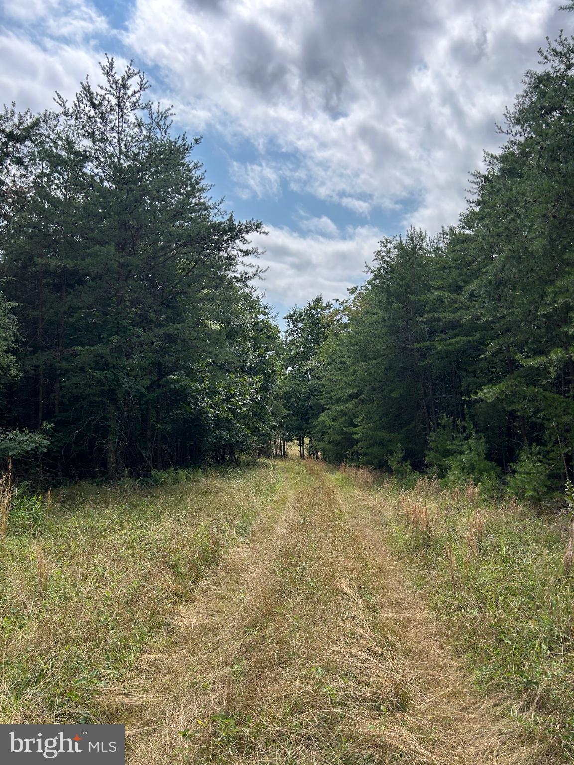 BRUSH CREEK ROAD