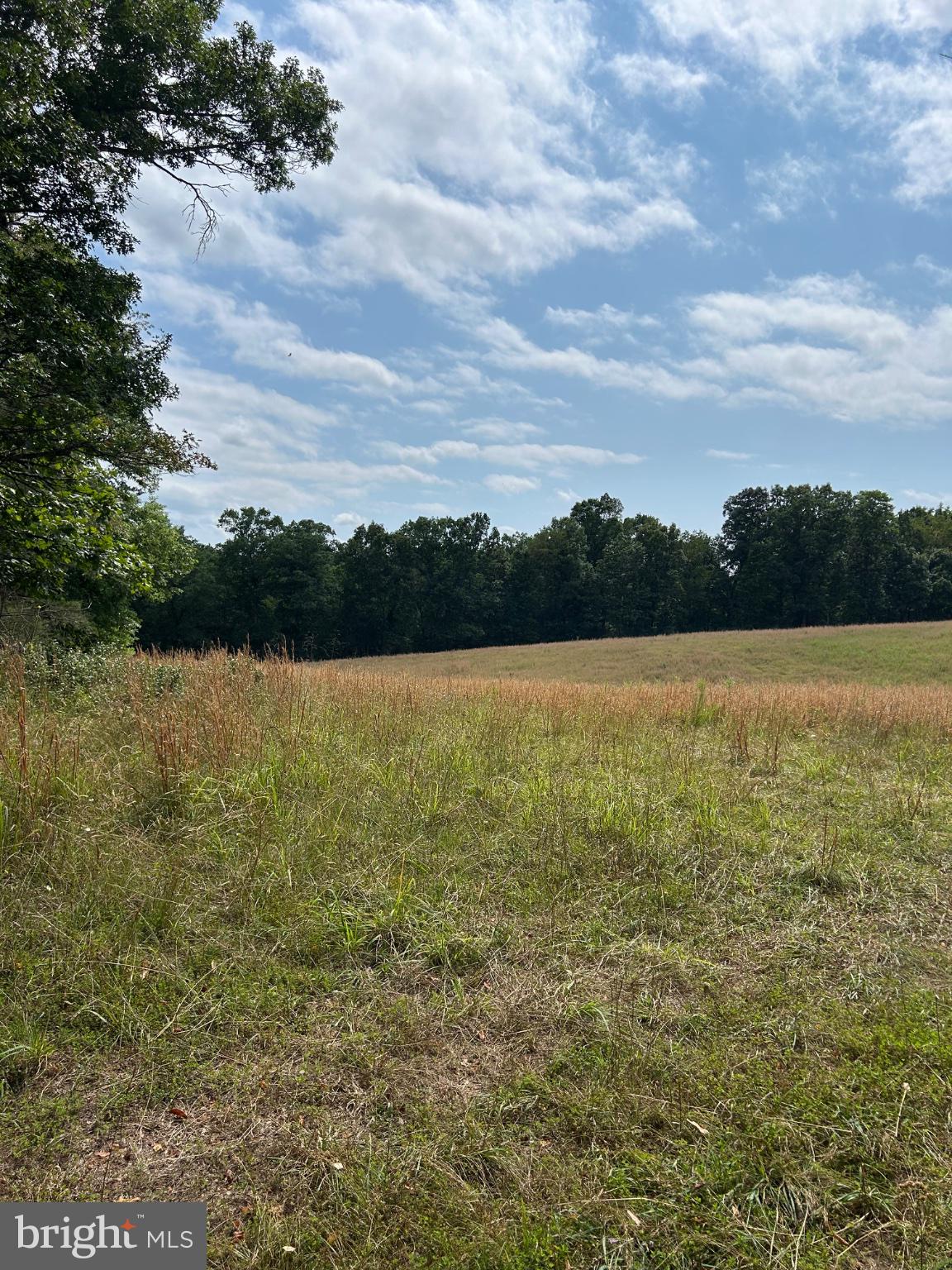 BRUSH CREEK ROAD