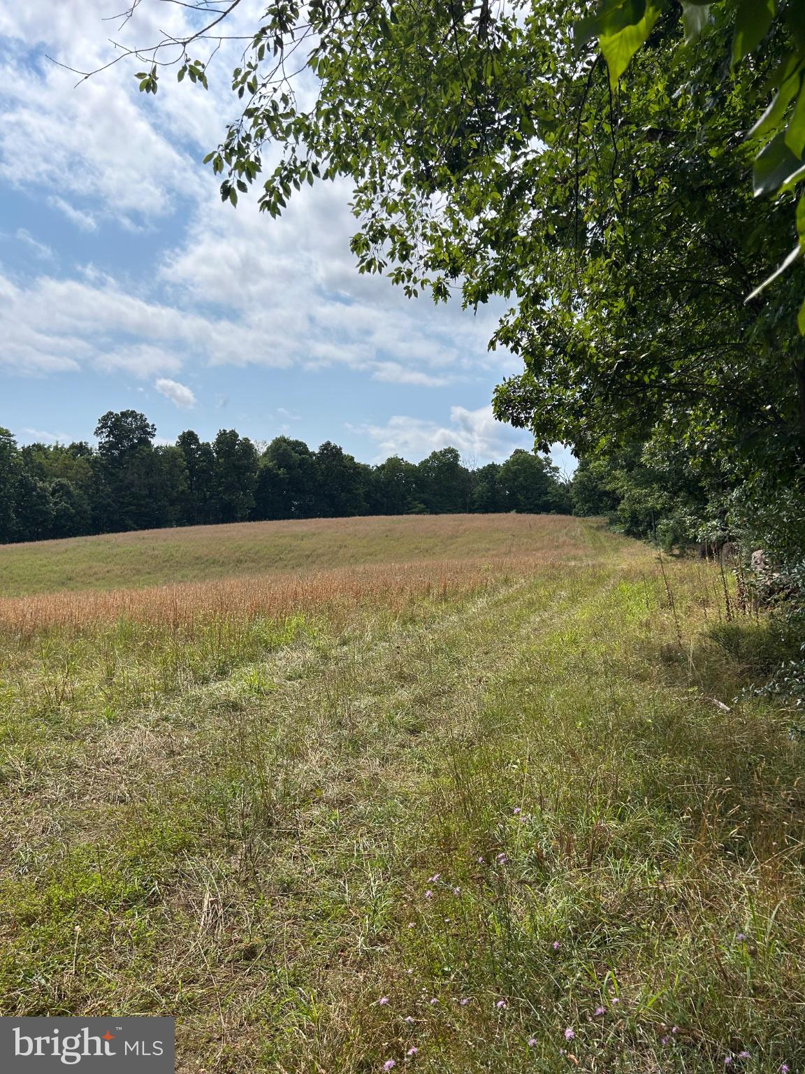 BRUSH CREEK ROAD