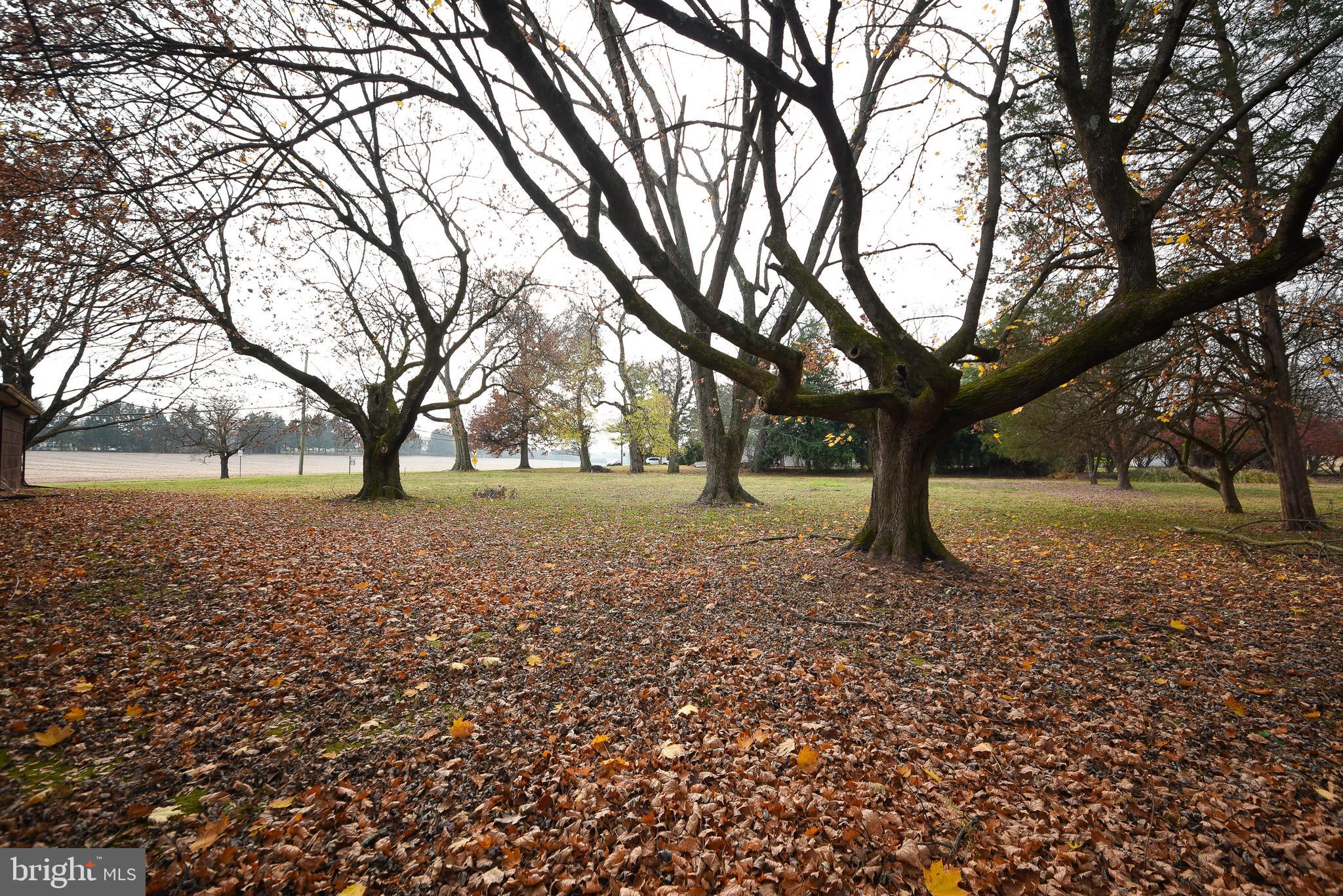 NON AVAILABLE - Residential