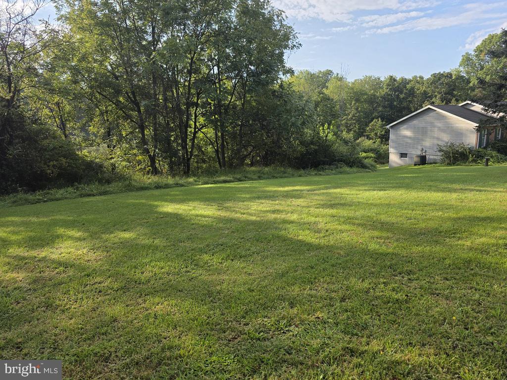 85 WHITE ROAD