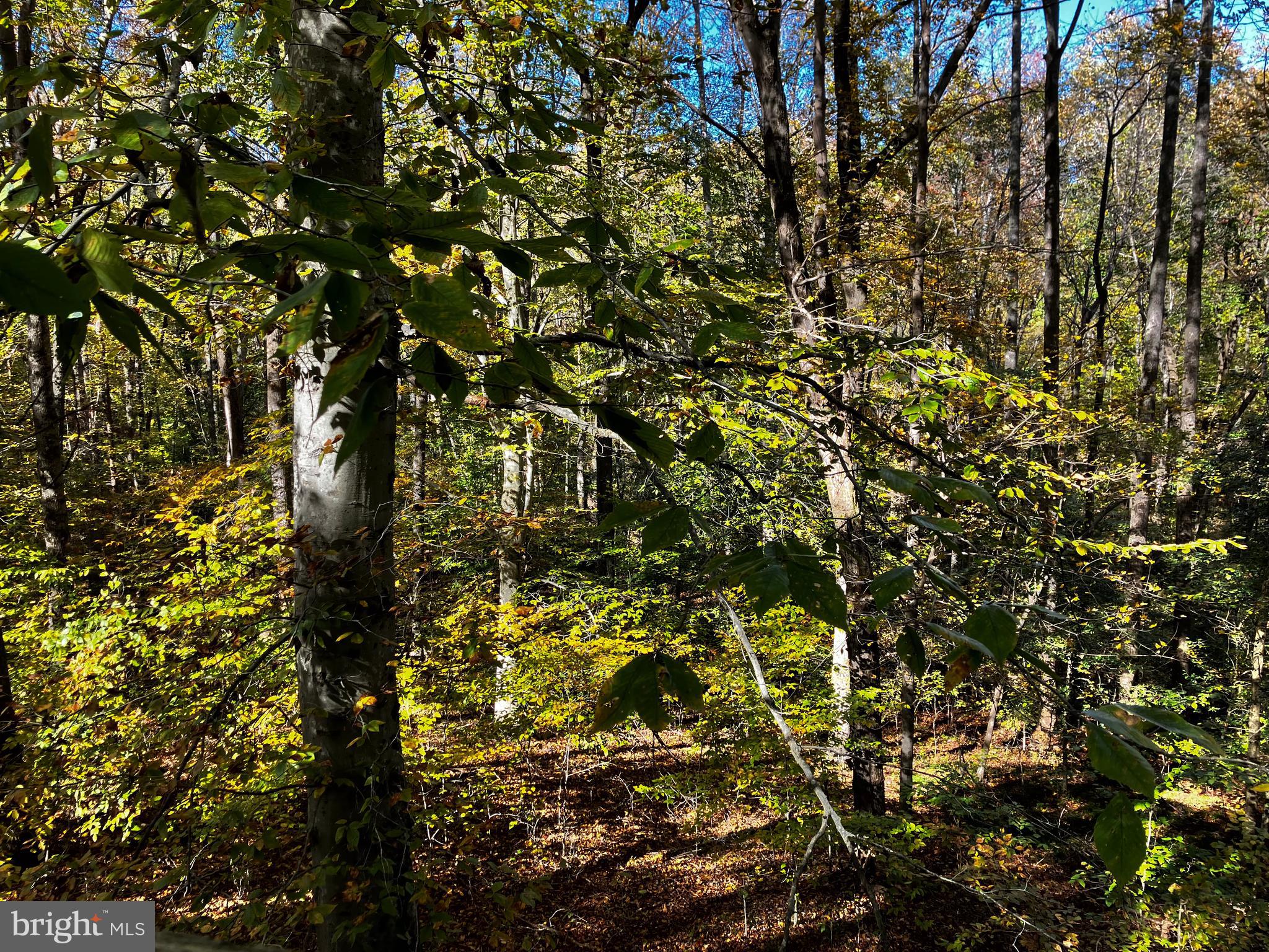 SILVANHURST SUB - Residential