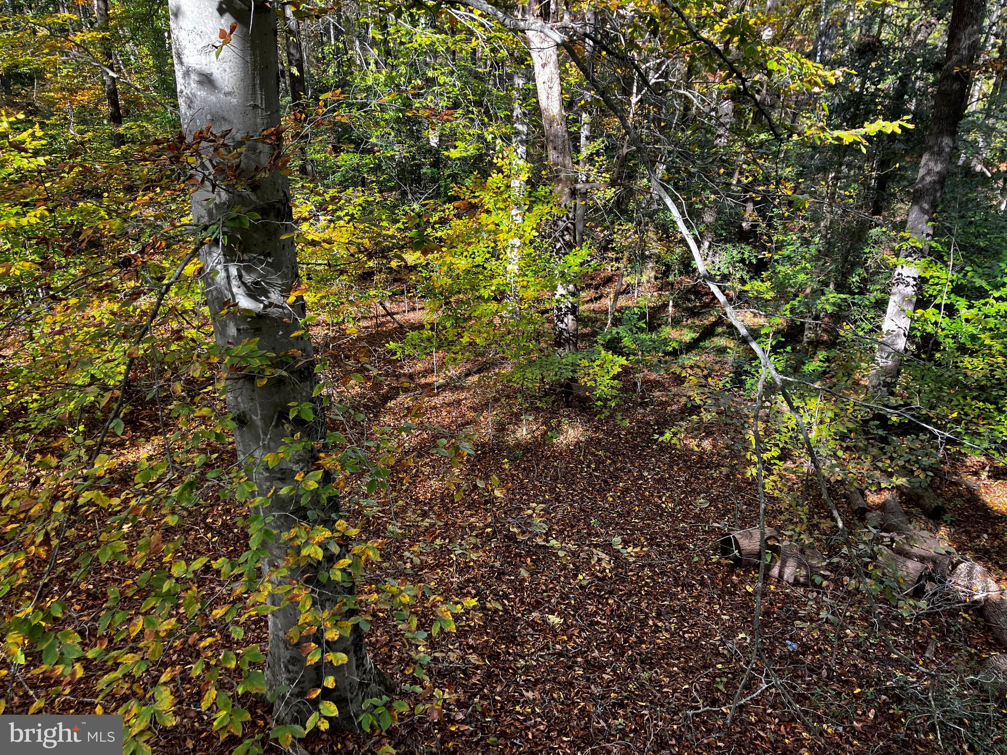 SILVANHURST SUB - Residential