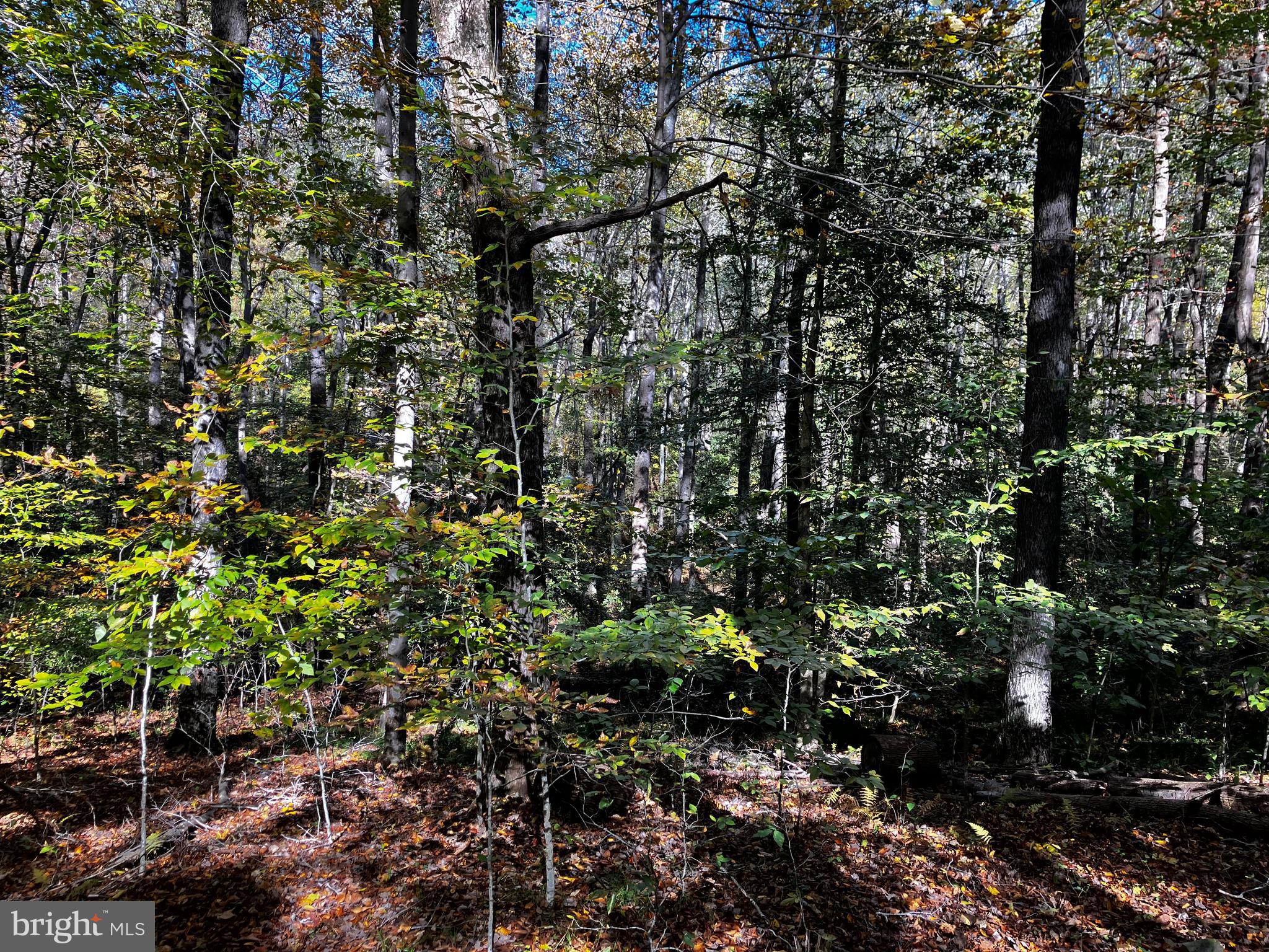 SILVANHURST SUB - Residential