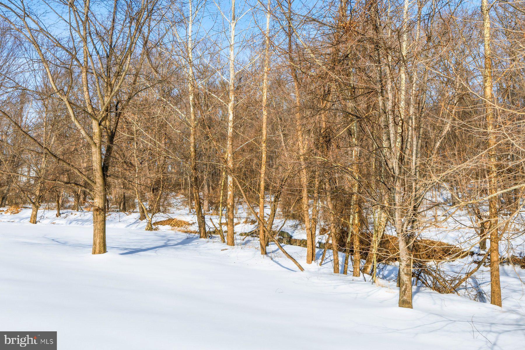 OWINGS MILLS - Residential