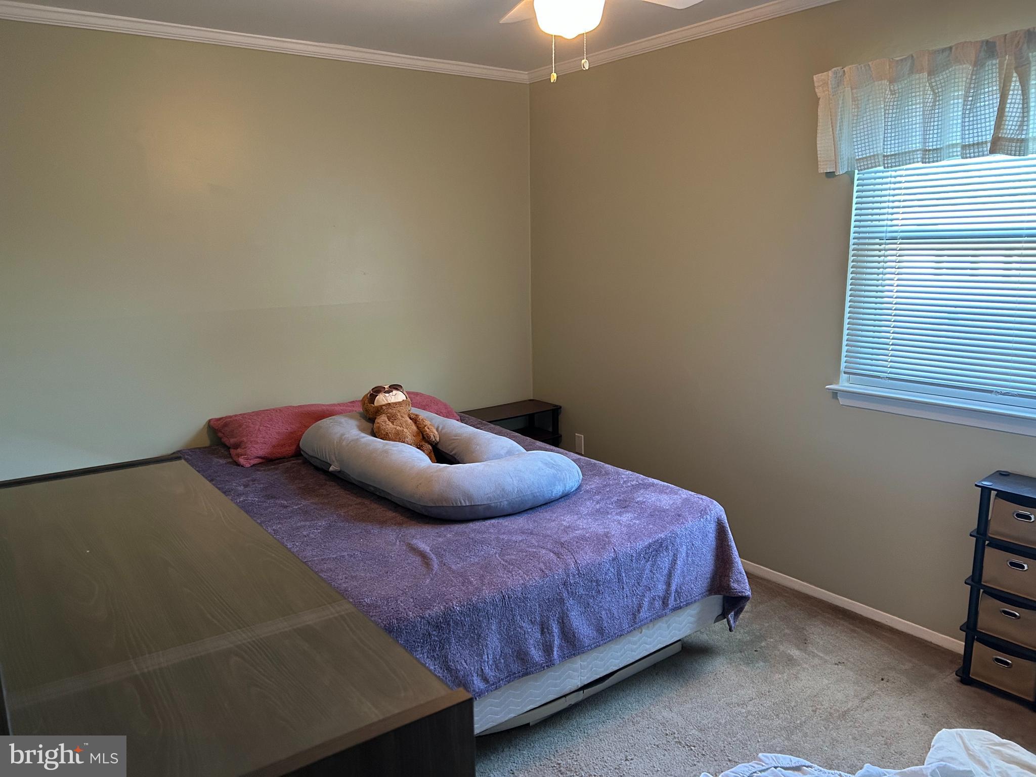 ELVATON TOWNE CONDO - Residential