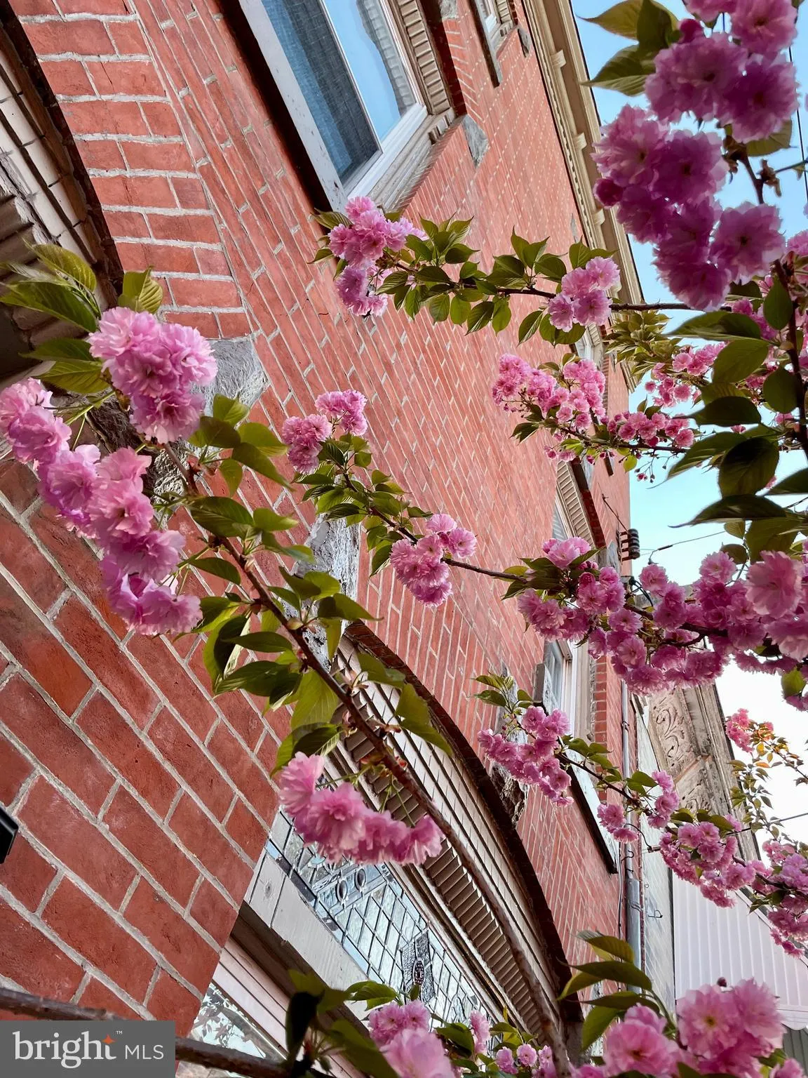 Additional image 91 of 1610 Wharton Street, Philadelphia, PA 19146