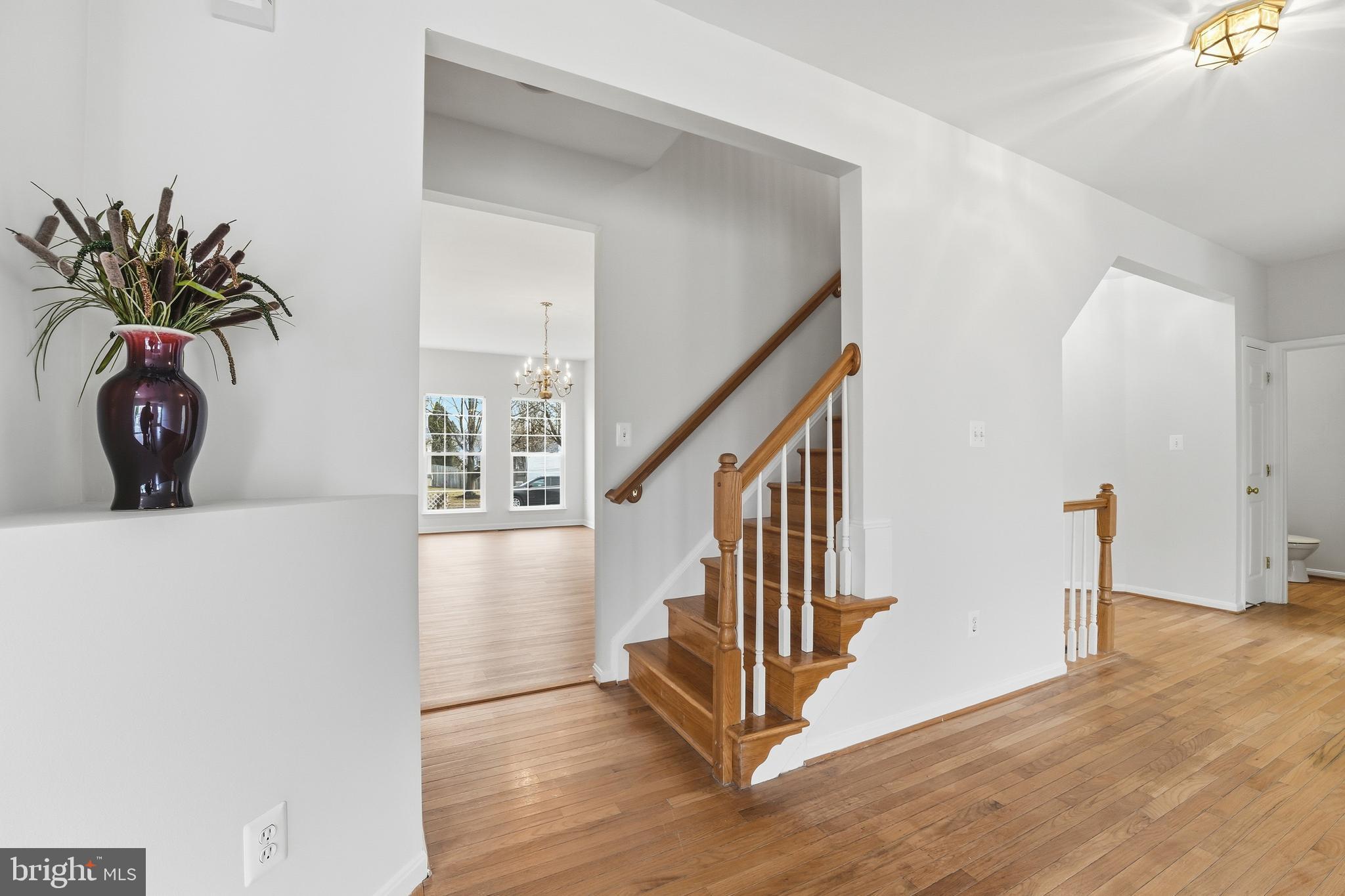 LAKEVIEW OF CULPEPER - Residential