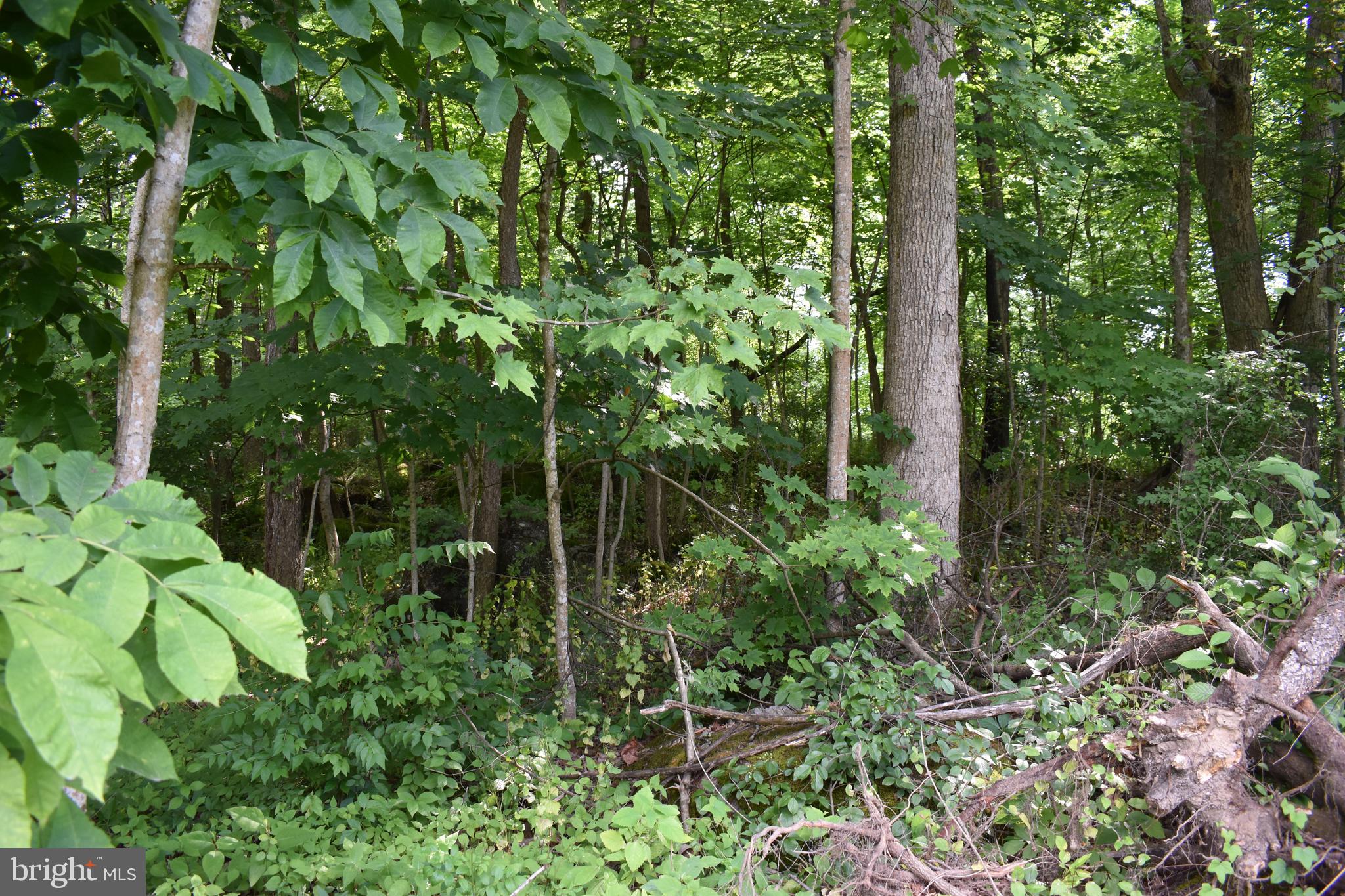 POTOMAC HEIGHTS - Land