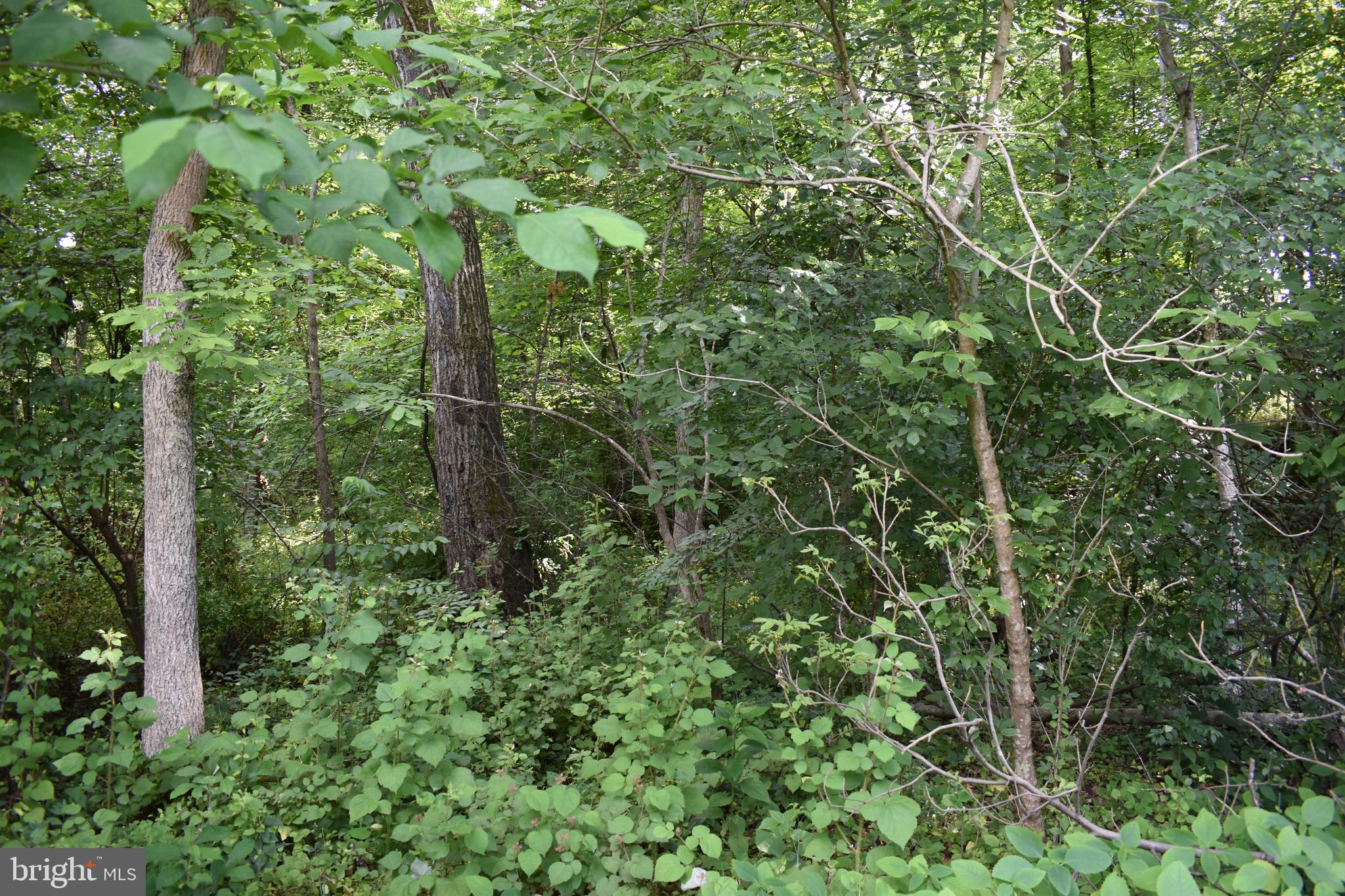 POTOMAC HEIGHTS - Land