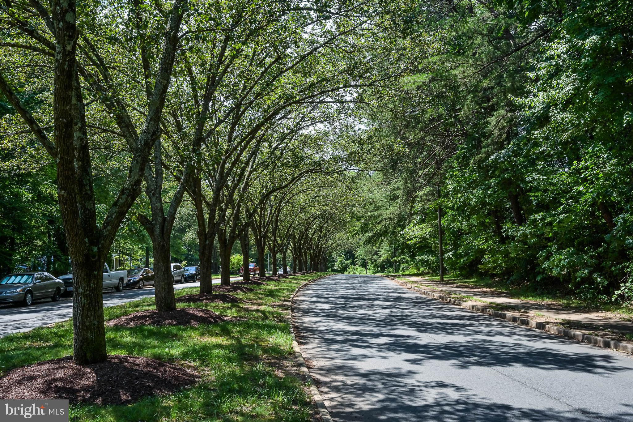 LAKE BRADDOCK - Residential