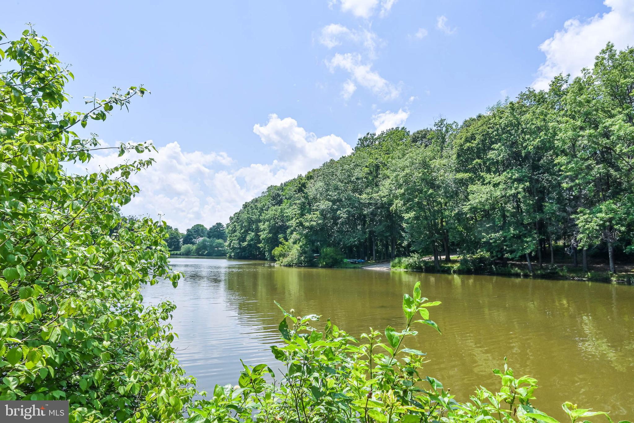 LAKE BRADDOCK - Residential