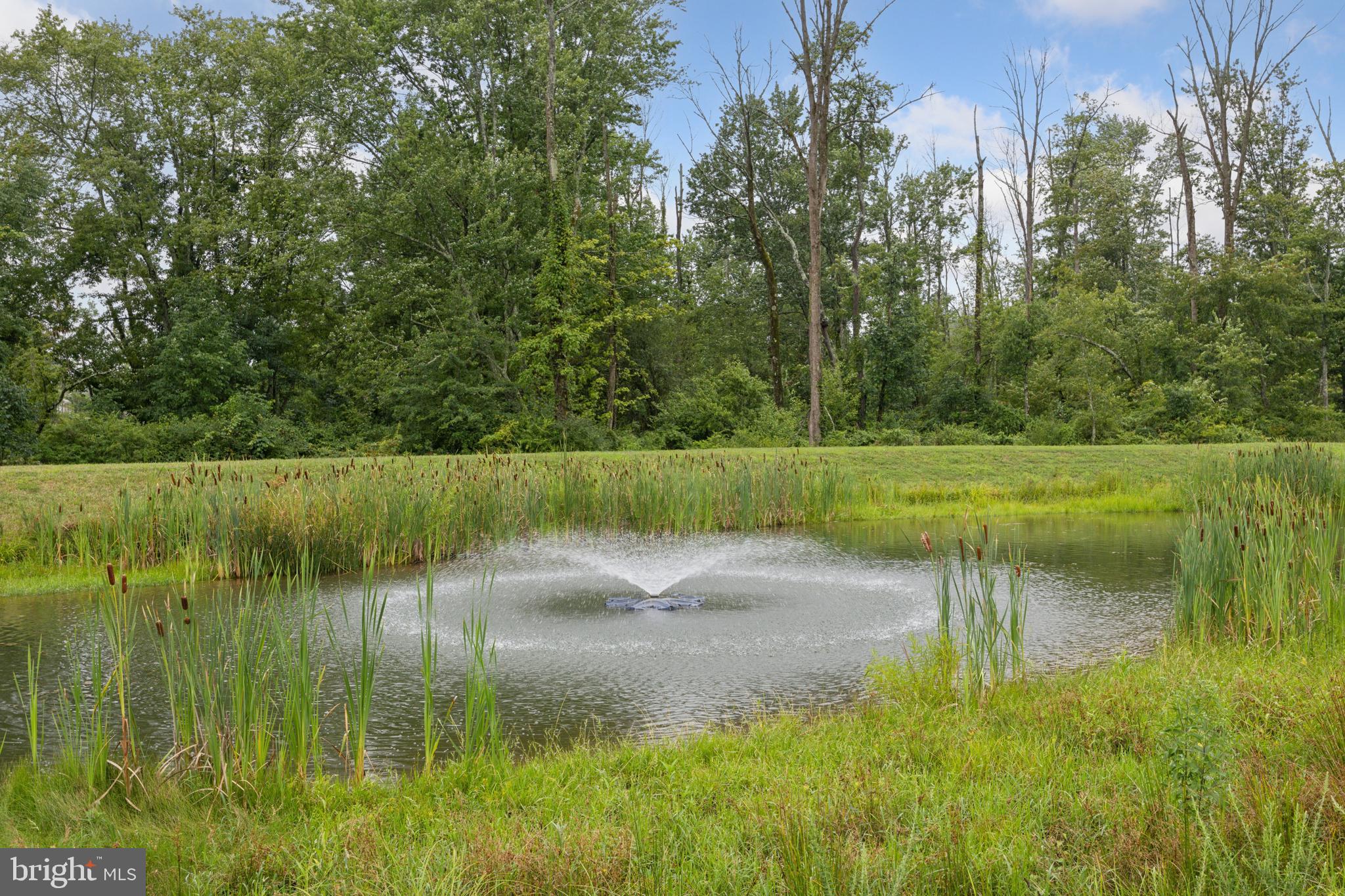 NEW BRITAIN WOODS - Residential