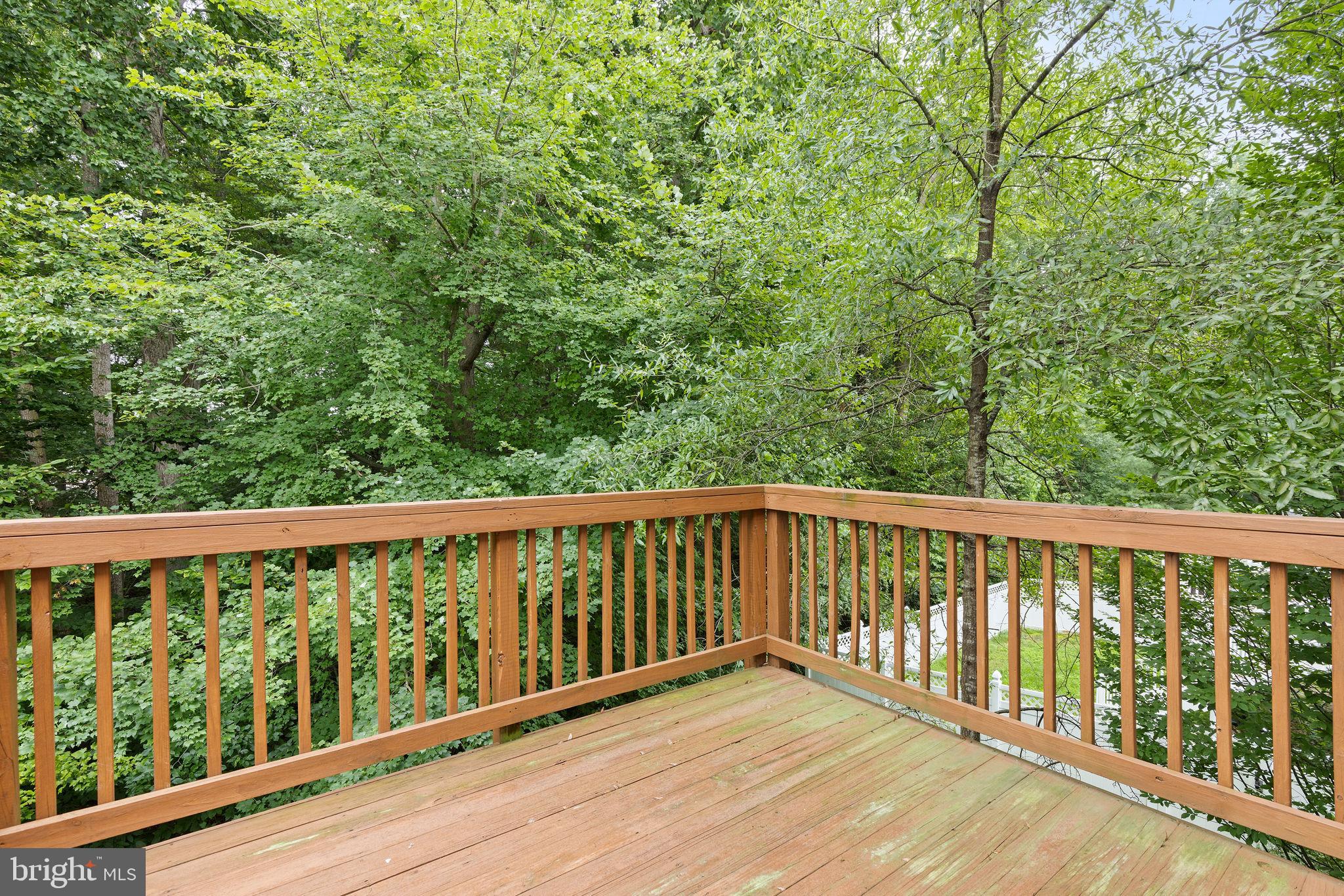 HOLLY WOODS - Residential