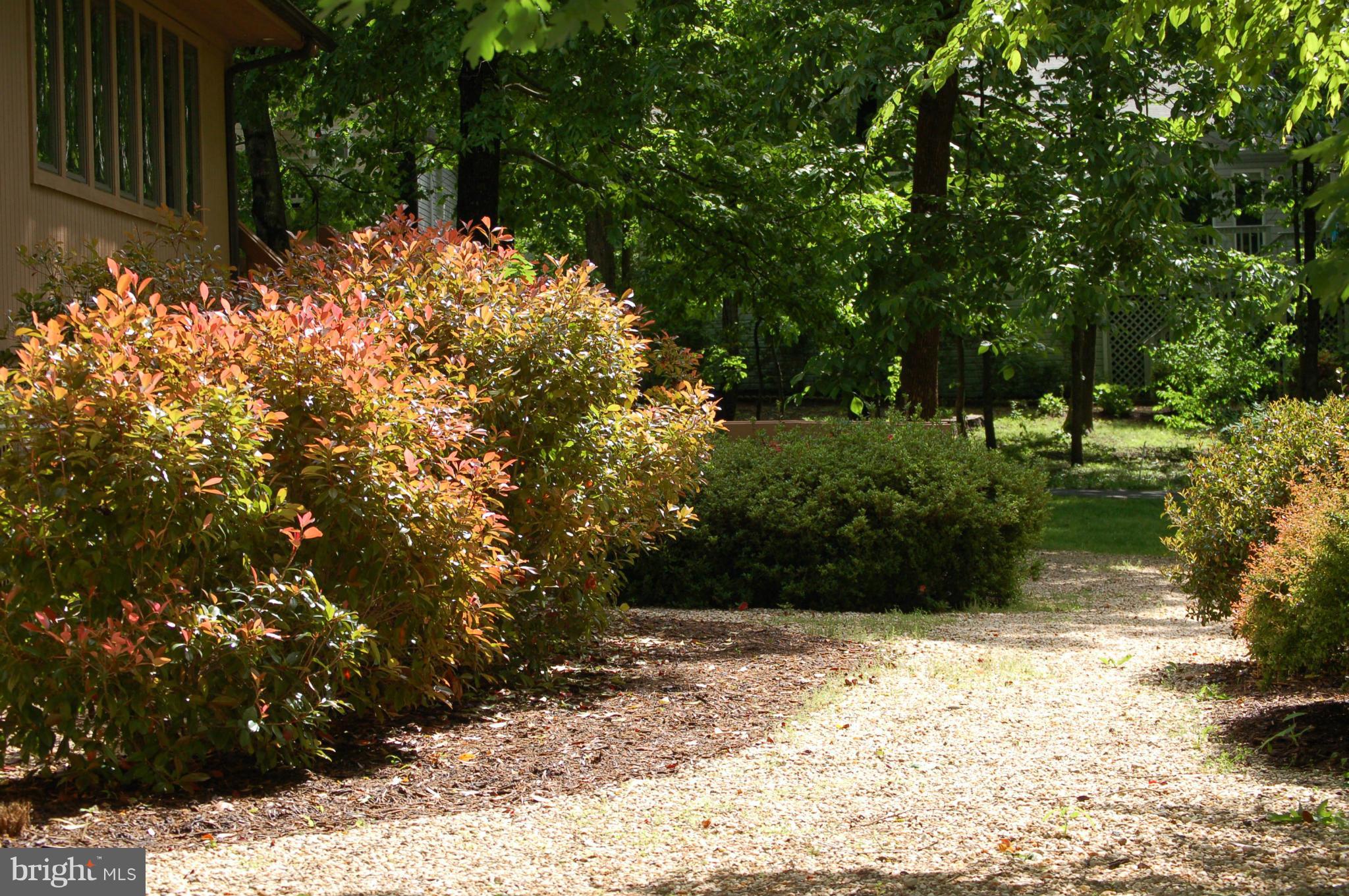 LAKE OF THE WOODS - Residential