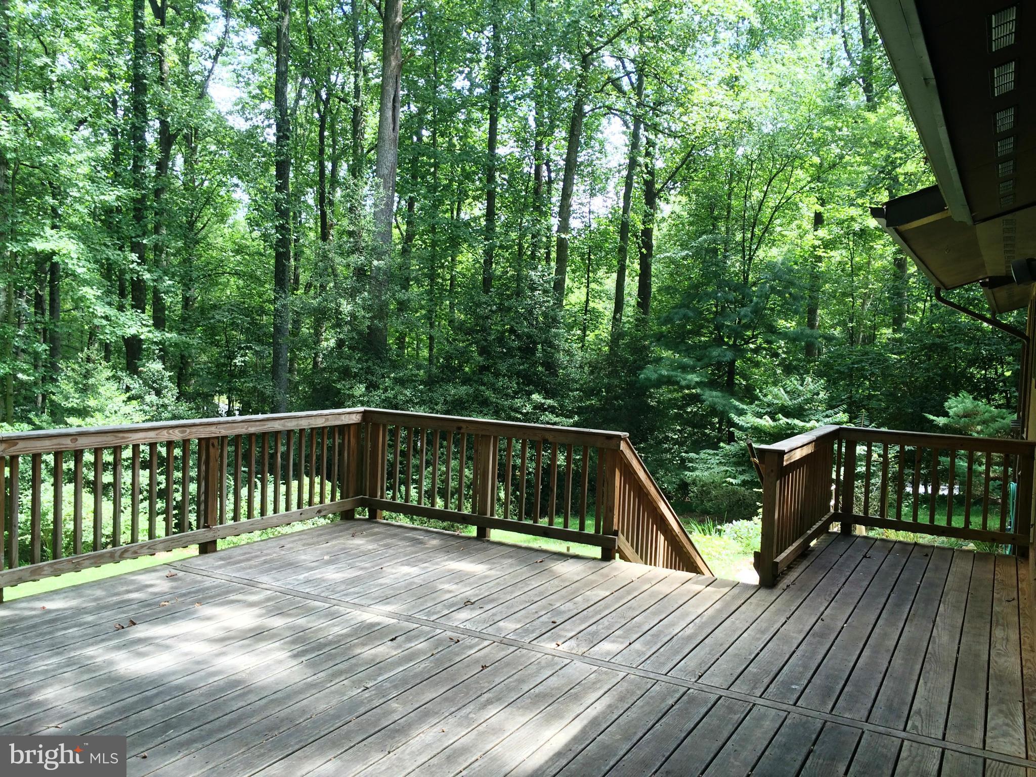 RESTON - Residential Lease