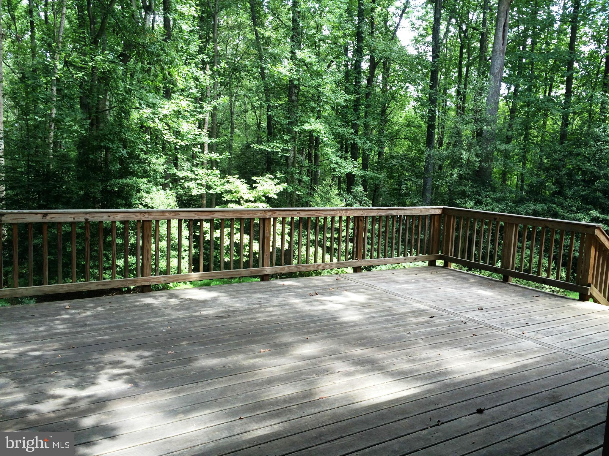 RESTON - Residential Lease