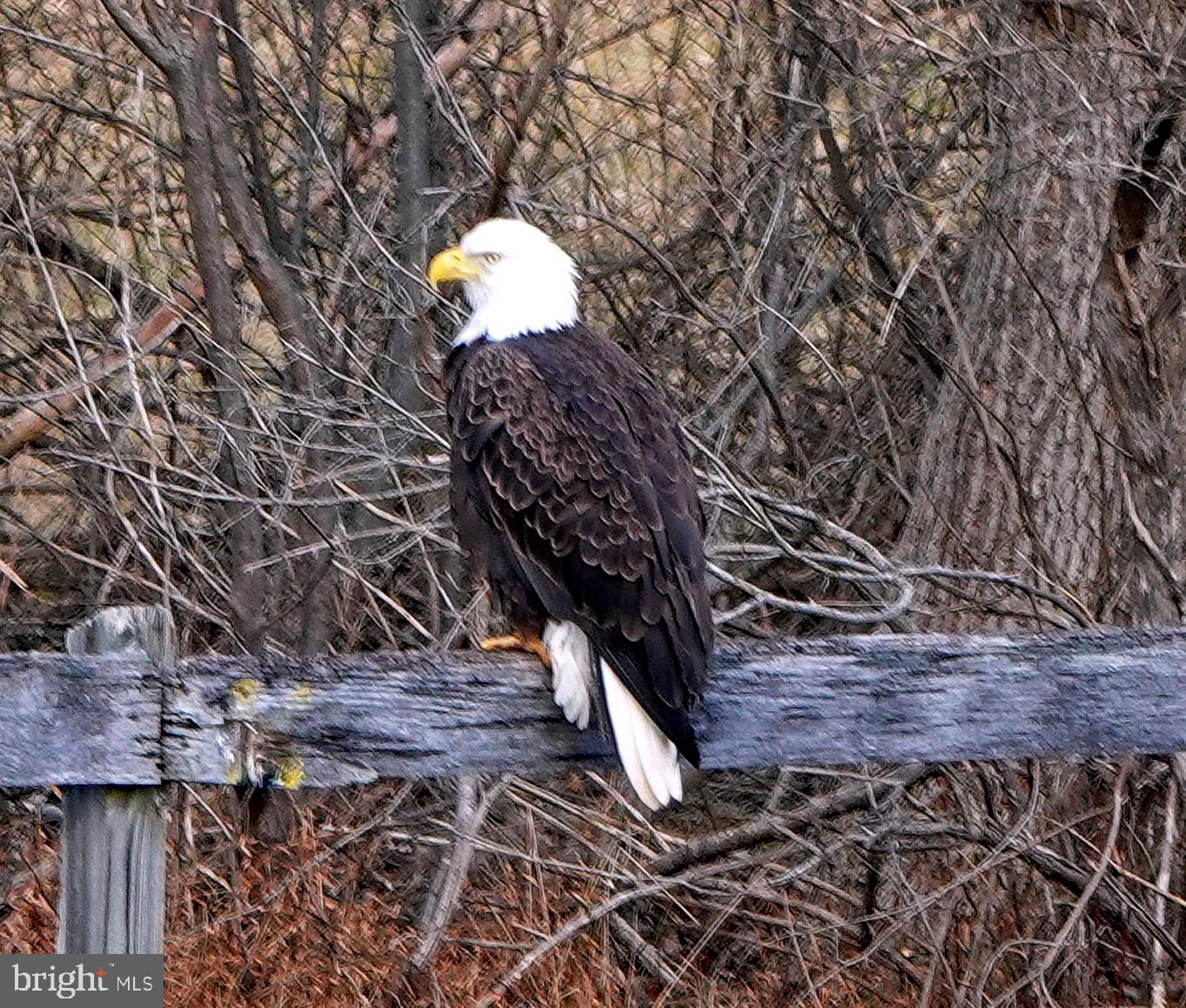 BARNETT - Residential