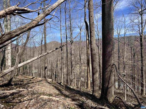 Vacant Land For Sale - TBD Beech Grove Rd<br/> ROSELAND, VA 22967