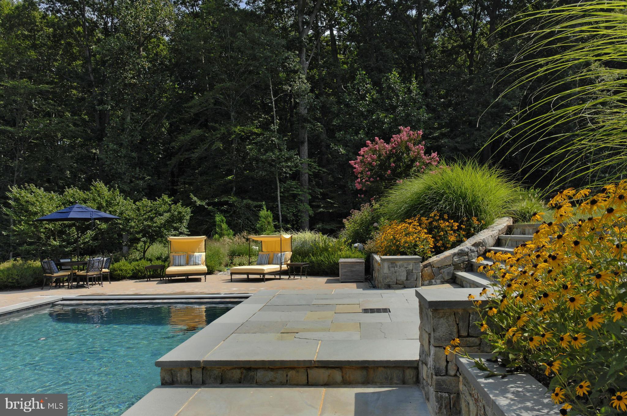 POTOMAC FALLS - Residential