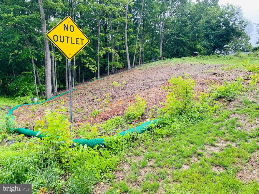 Seller has already completed tree removal for you to build!  Bring your builder and your designs, public water and sewer hook up is available.