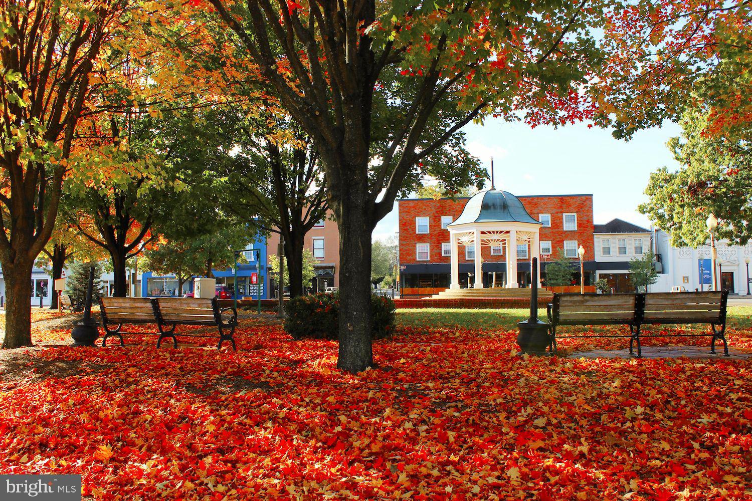 ACADEMY MANOR - Residential