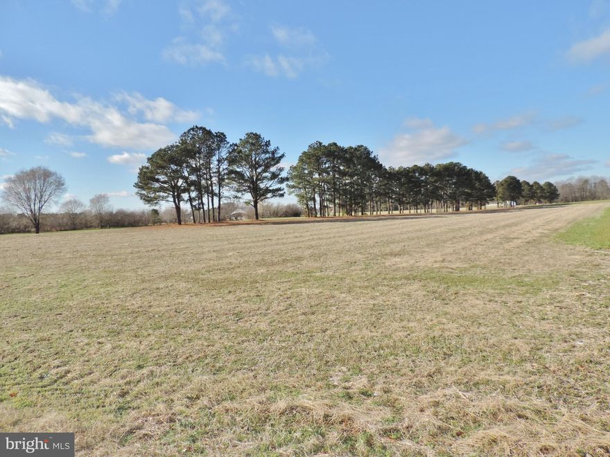 Large 4 acre Homesite located in Mardela Springs, MD! Build your dreamhouse with room to spread out on this cleared piece of land. Well and Septic permits have been approved and are ready to be filed for your home! There was a proposed 2000 sq ft home package that could be built or you could have your own plans approved for the site. Call for more information!