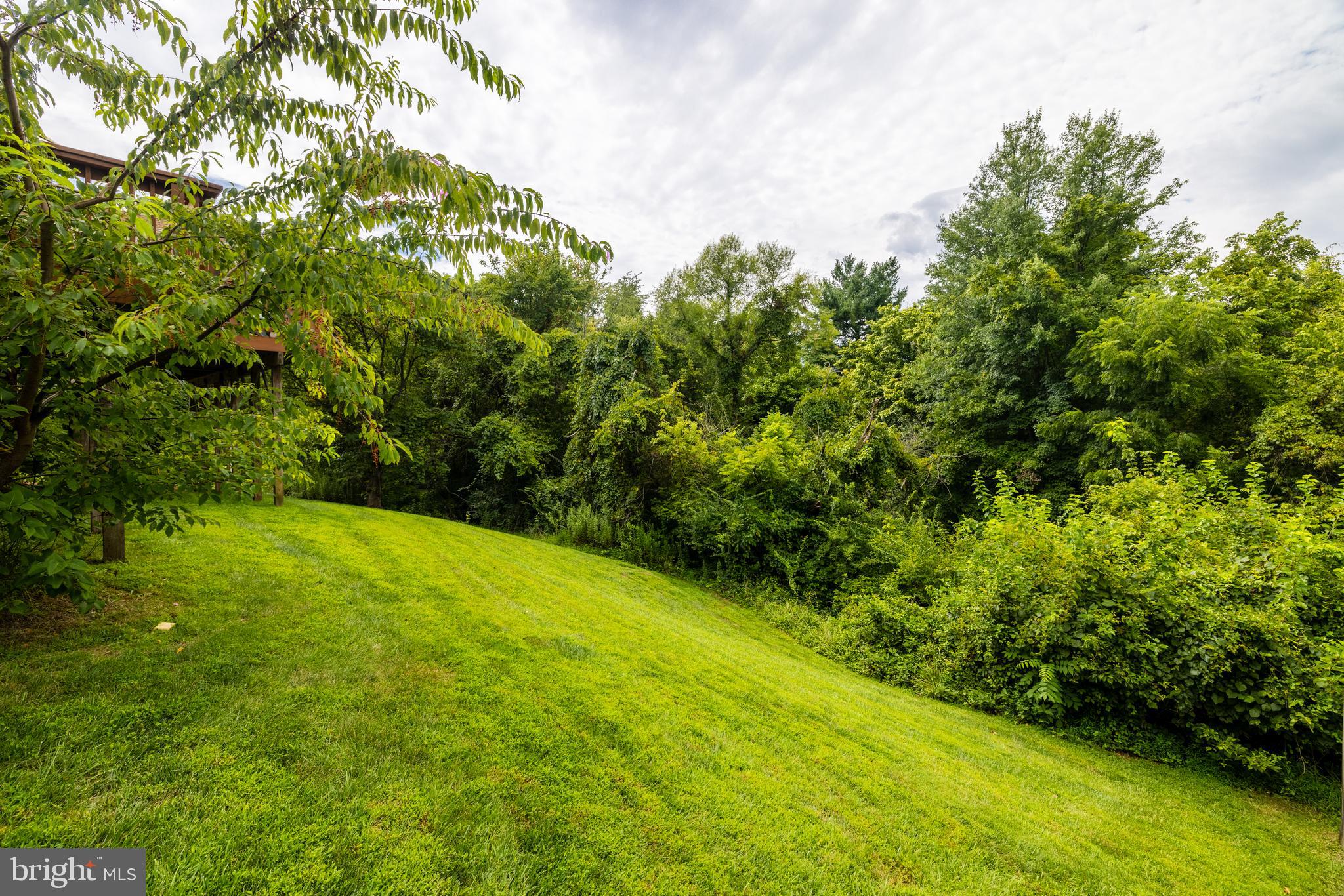 CHANTILLY HIGHLANDS - Residential