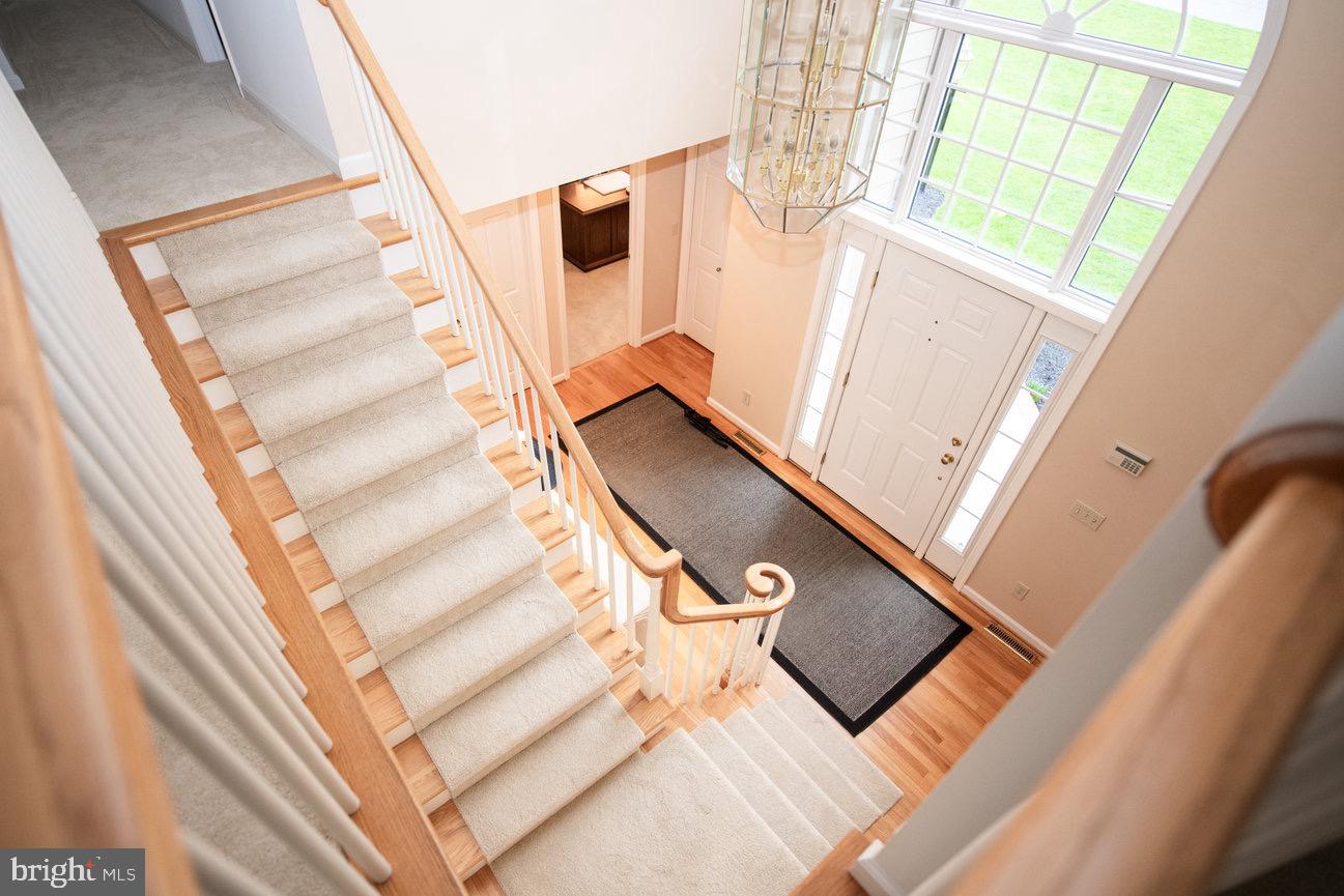 WALTON SPRING HILLS - Residential