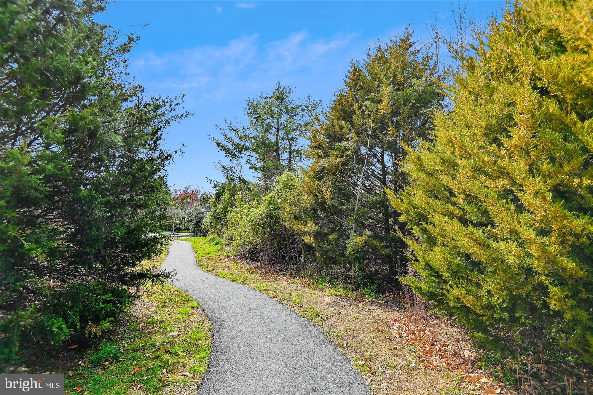 BEECHTREE ESTATES - Residential