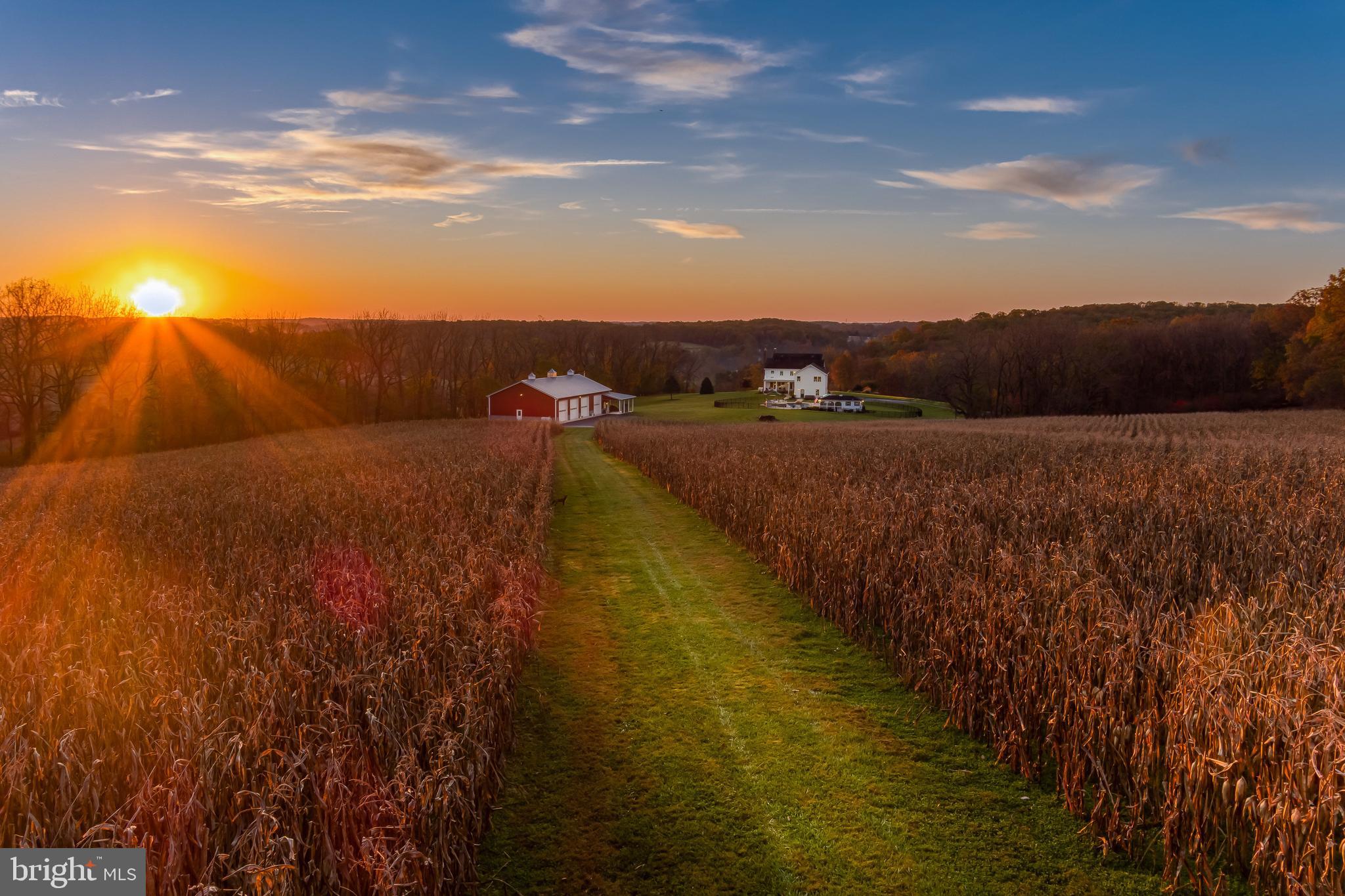HEREFORD ZONE - Residential