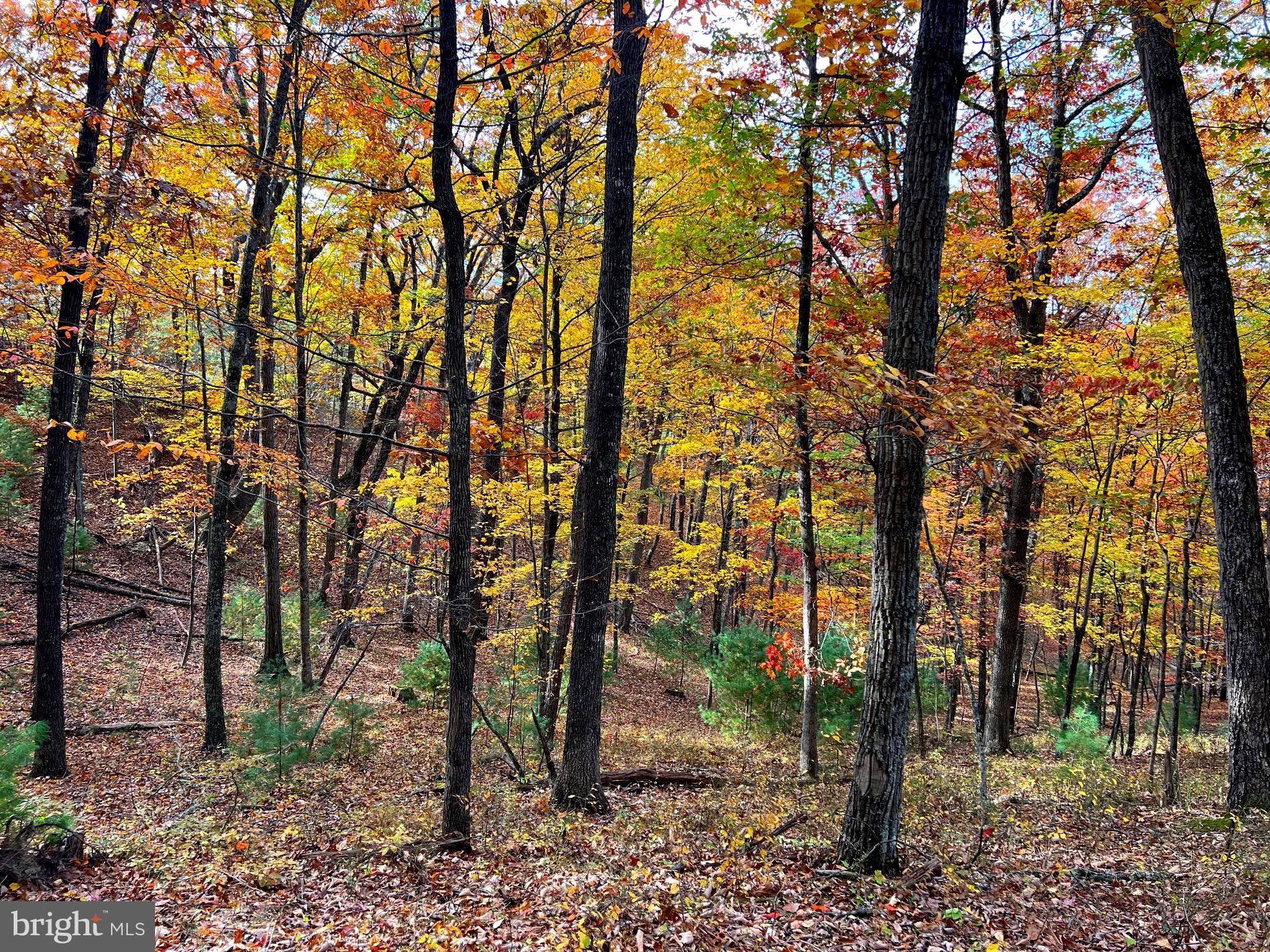 POTOMAV VALLEY OVERLOOK - Land